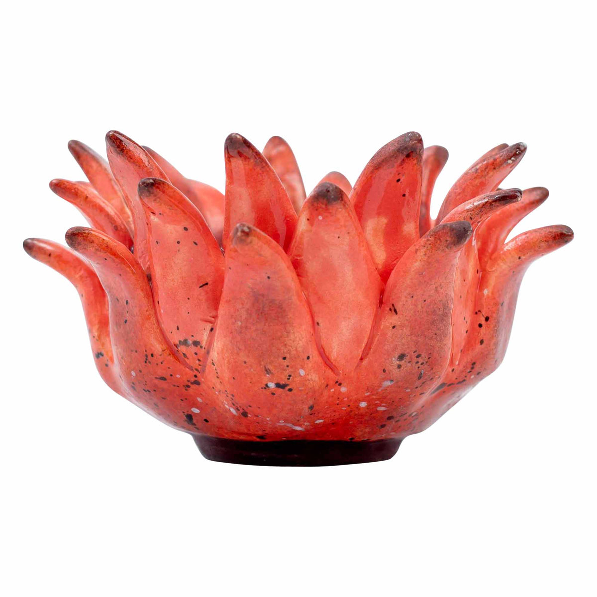 Protea Eggcup
