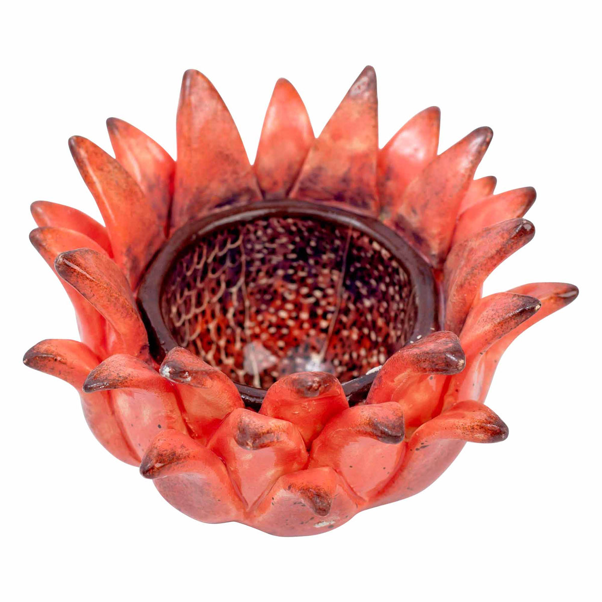Protea Eggcup