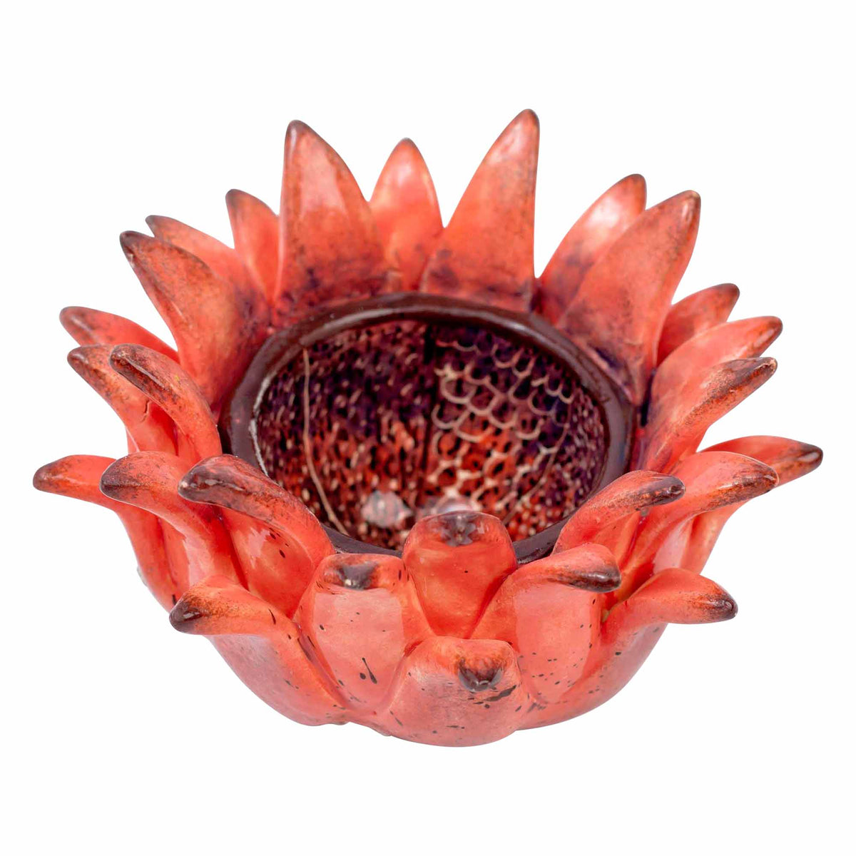 Protea Eggcup