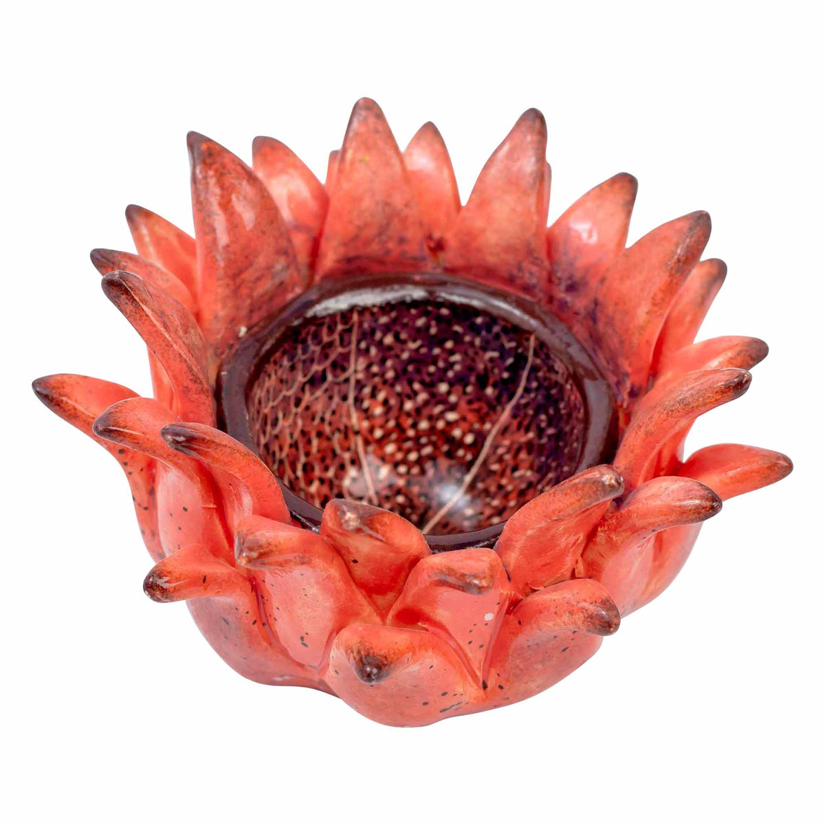 Protea Eggcup