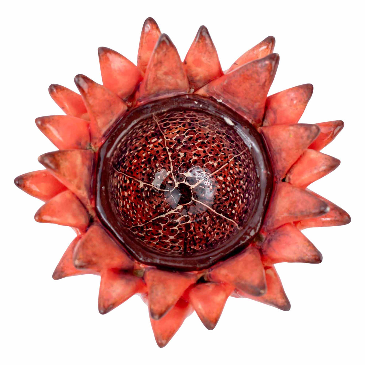 Protea Eggcup