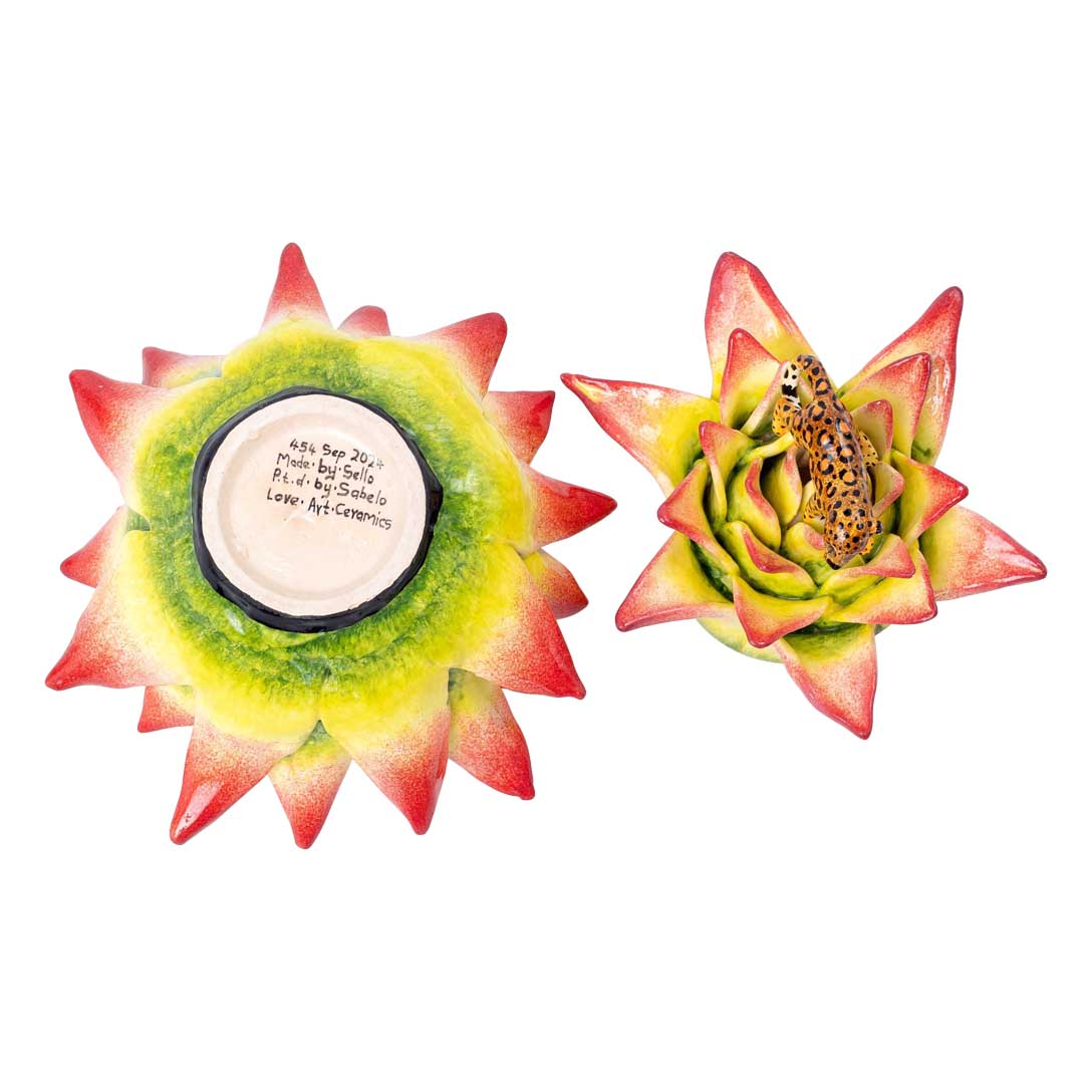 Succulent jewelry box