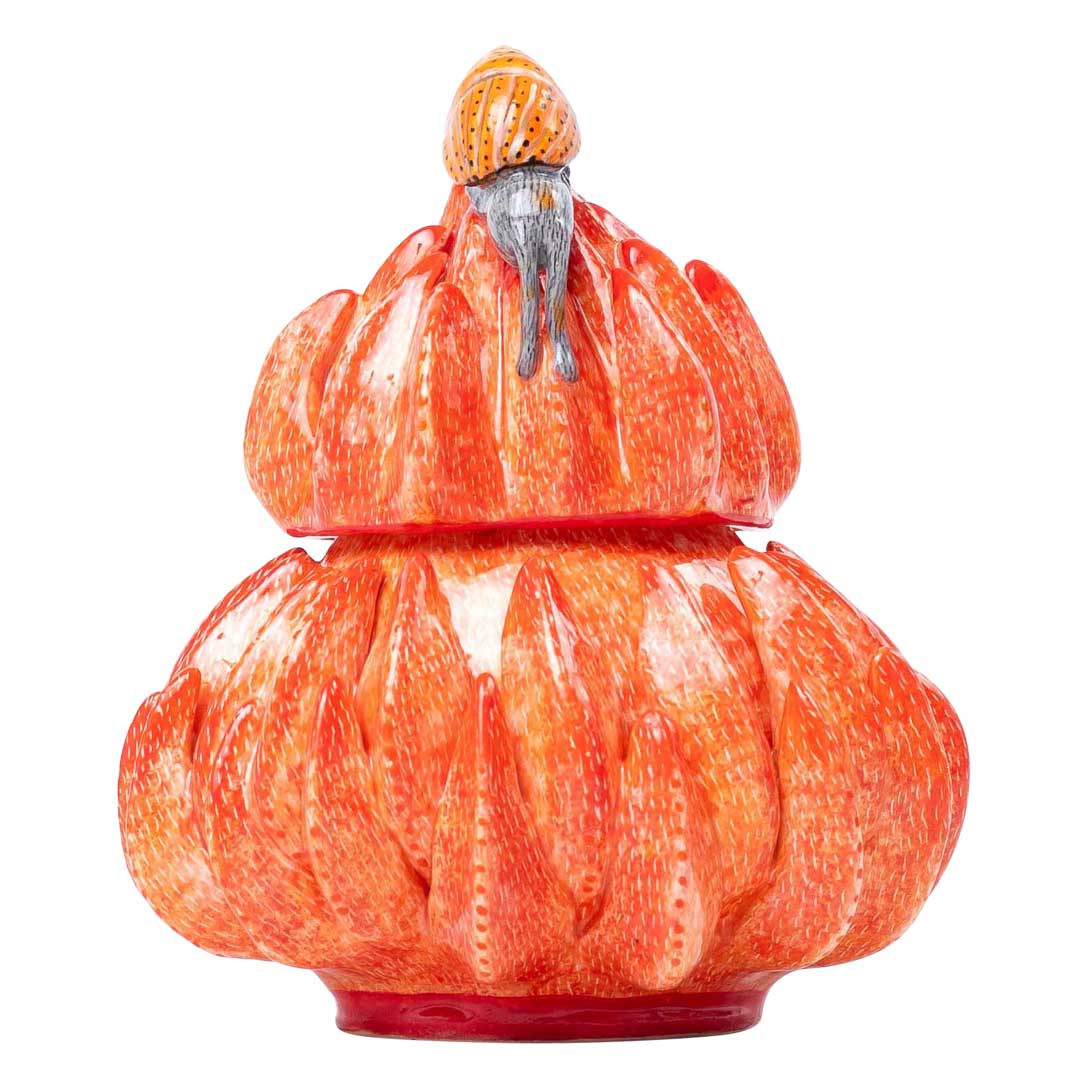 Protea & snail jewelry box