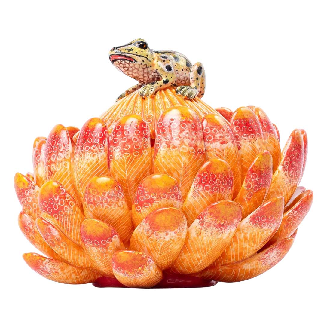 Protea & frog jewelry box