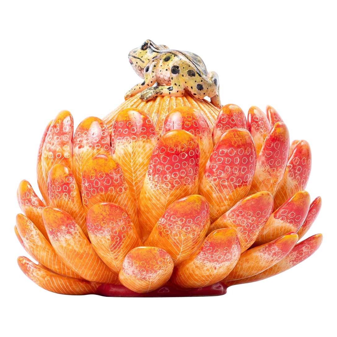 Protea & frog jewelry box