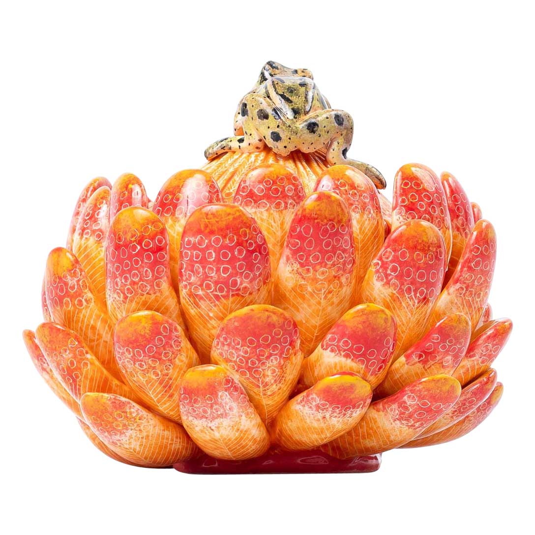 Protea & frog jewelry box