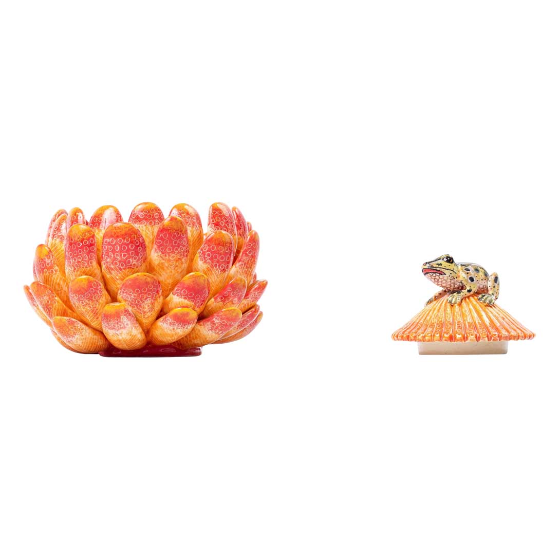 Protea & frog jewelry box