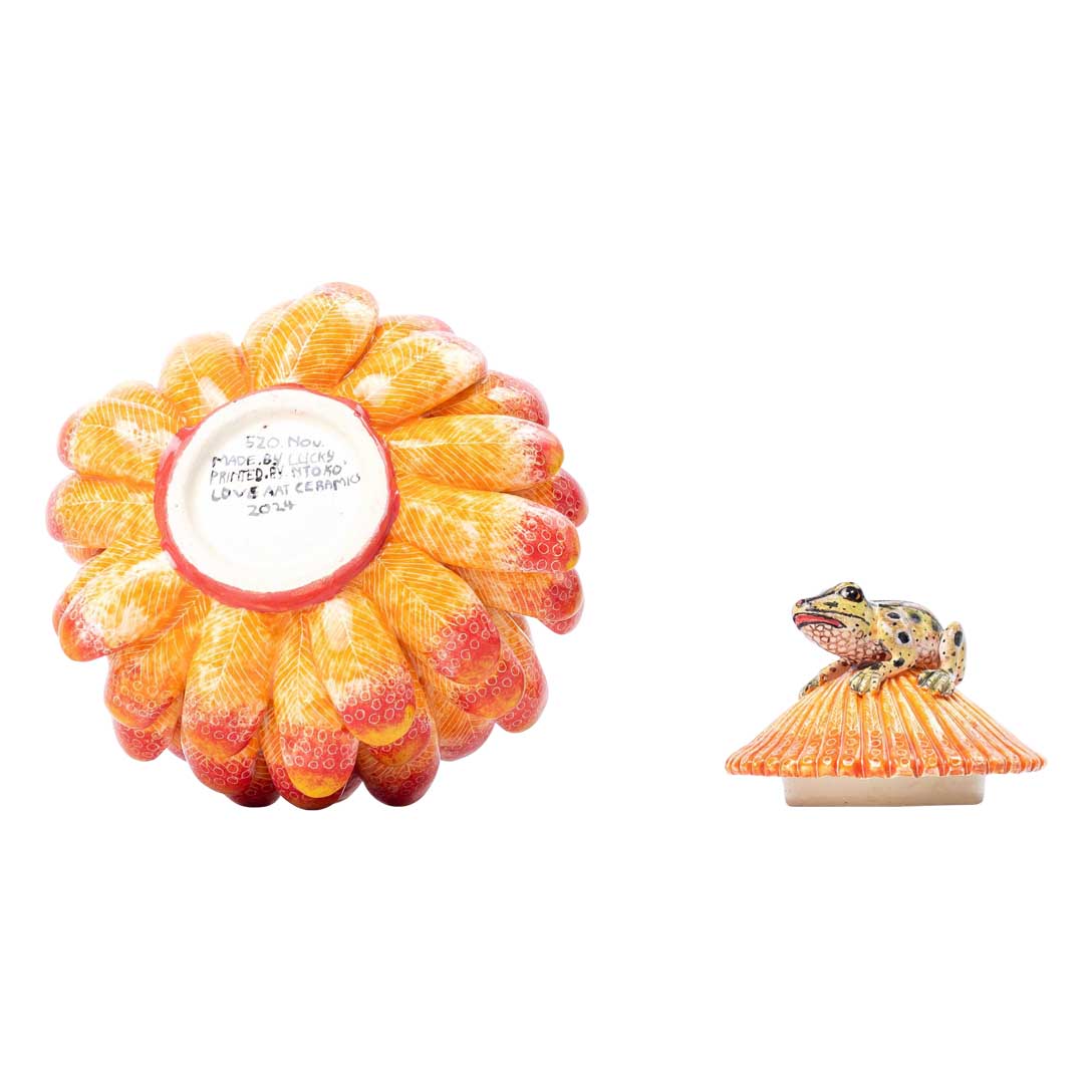 Protea & frog jewelry box