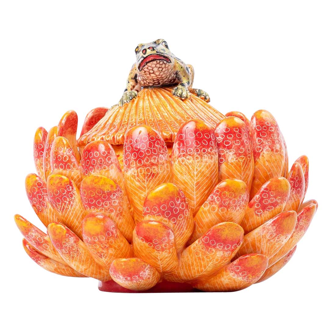 Protea & frog jewelry box