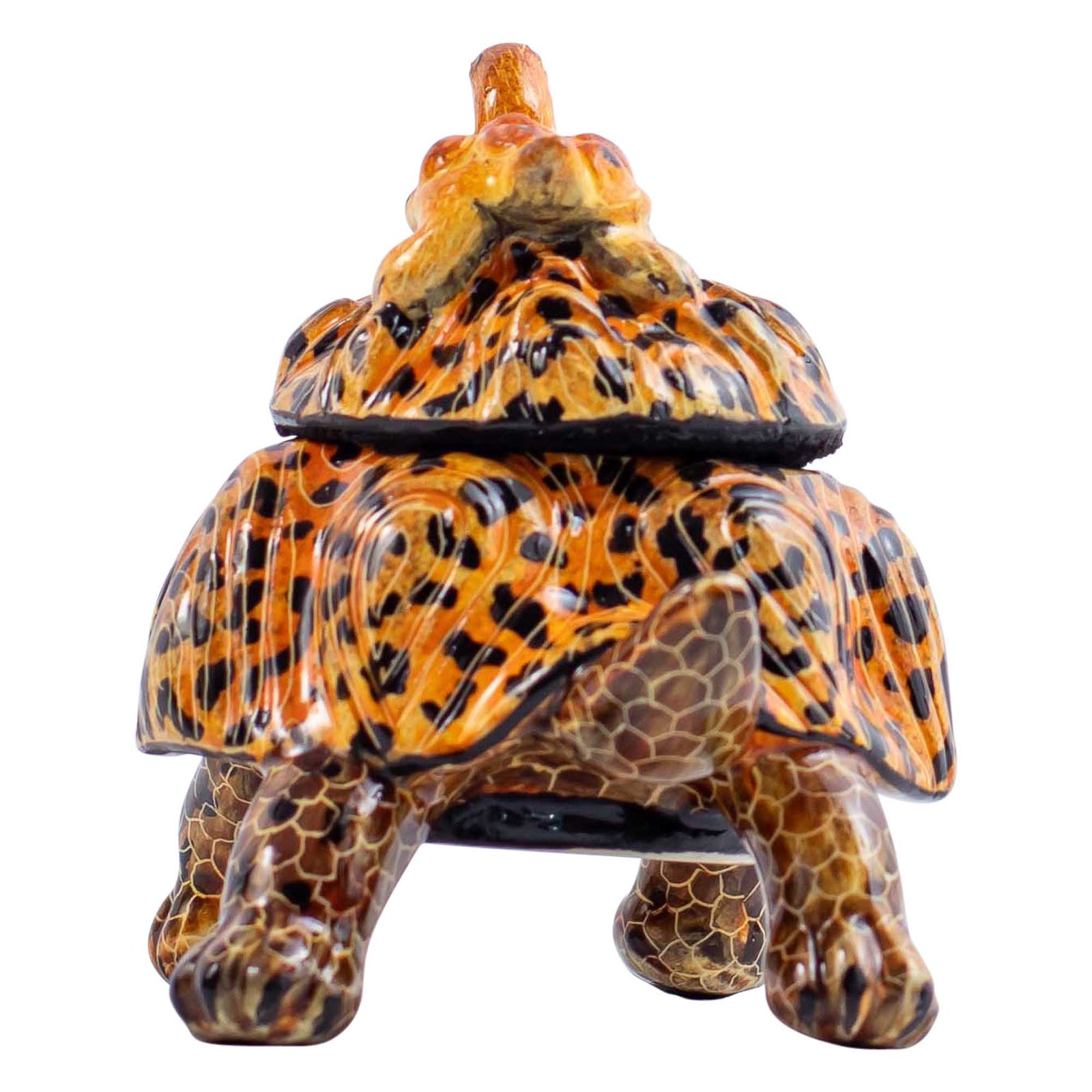 Tortoise jewelry box