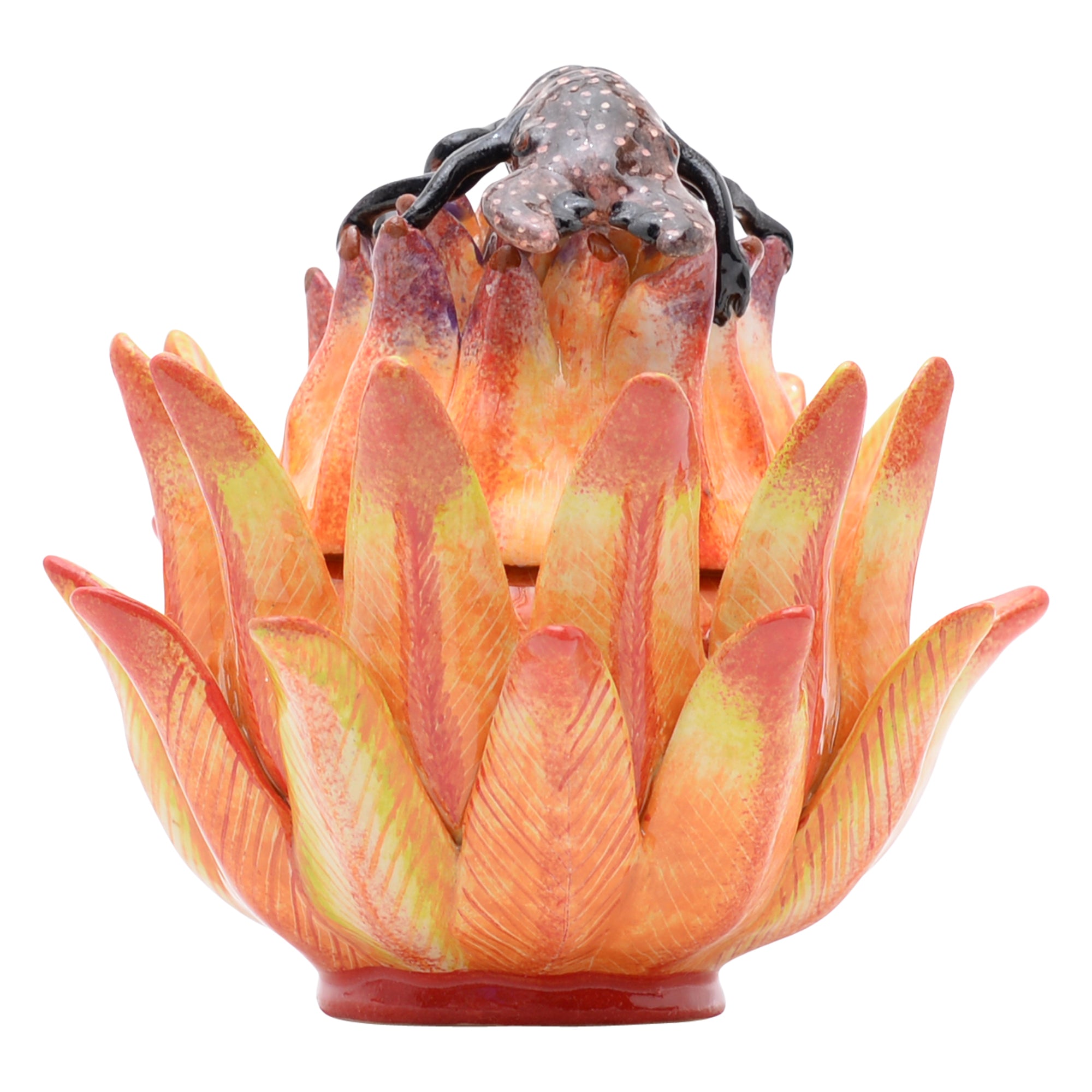 Protea & chameleon jewelry box