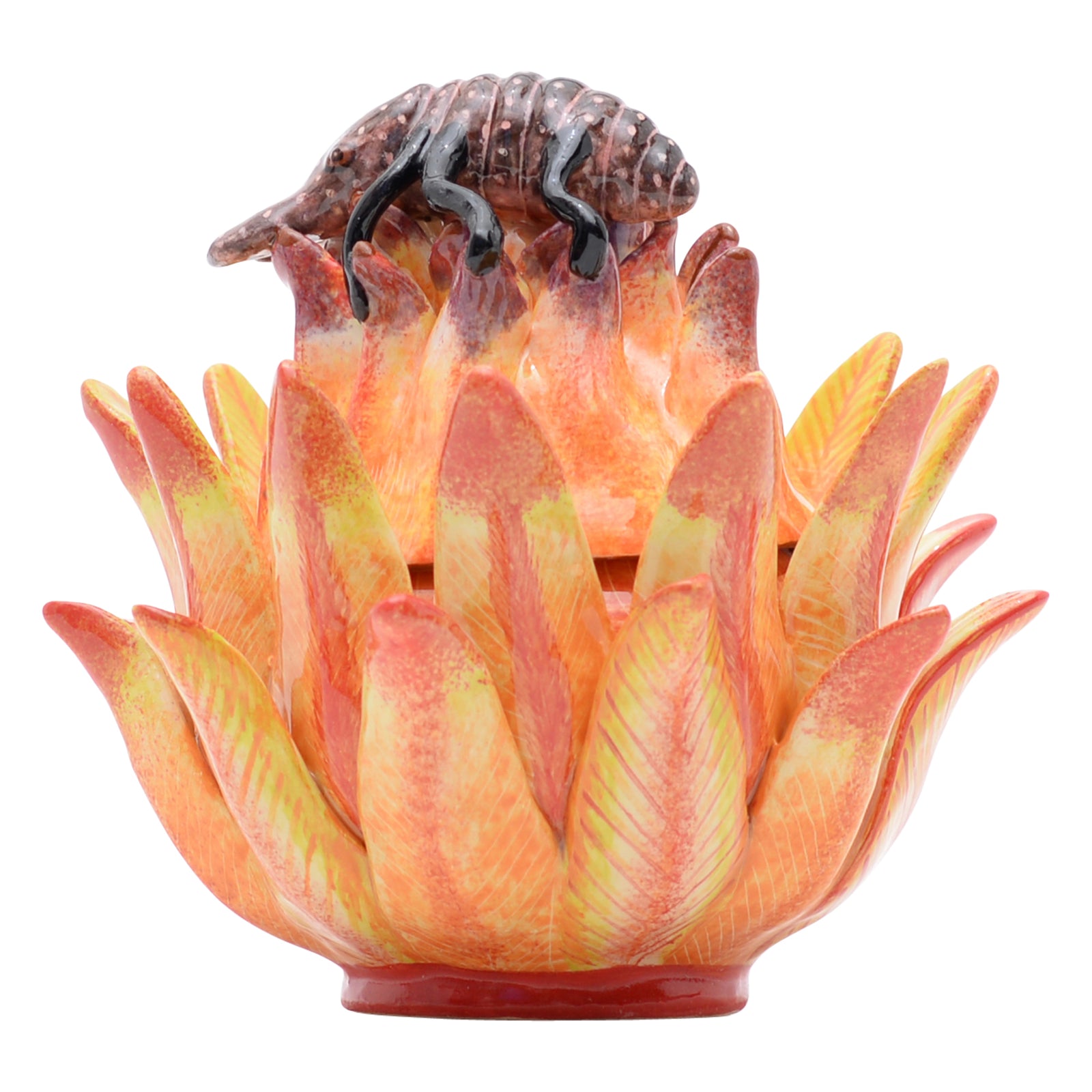 Protea & chameleon jewelry box