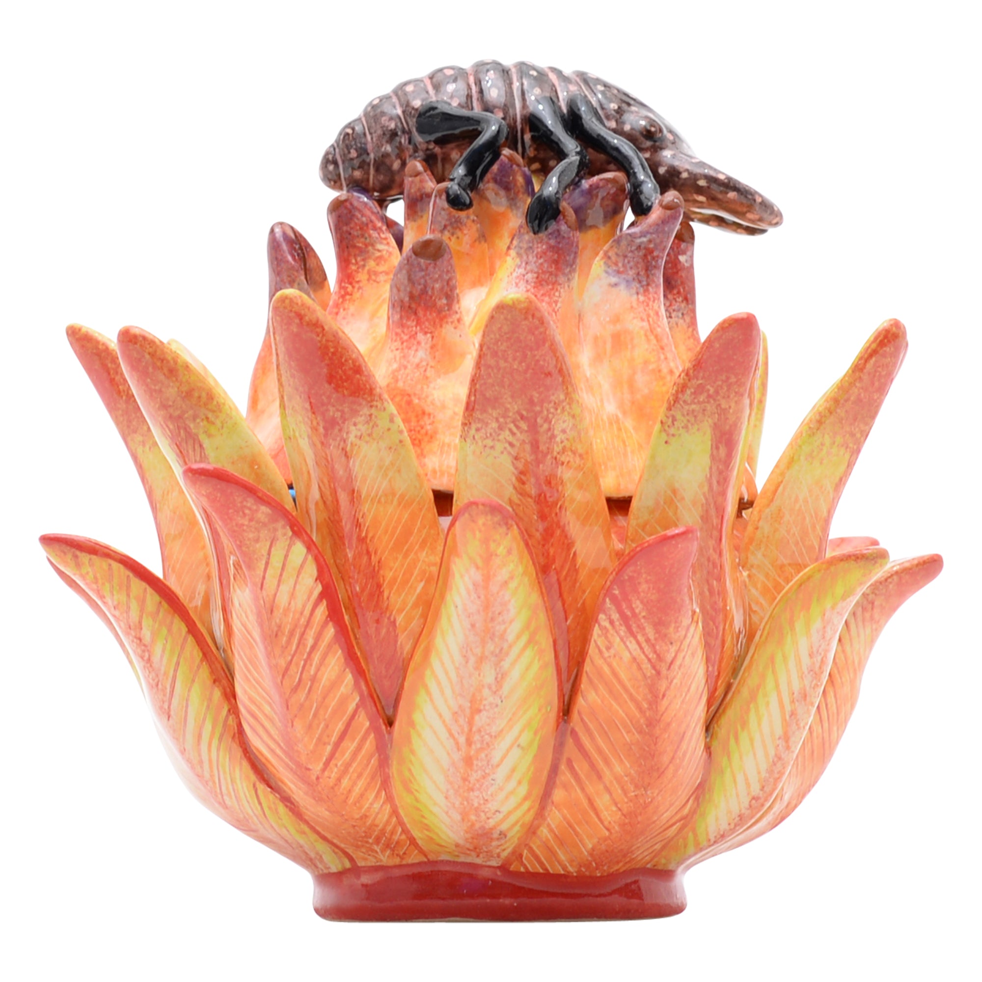 Protea & chameleon jewelry box