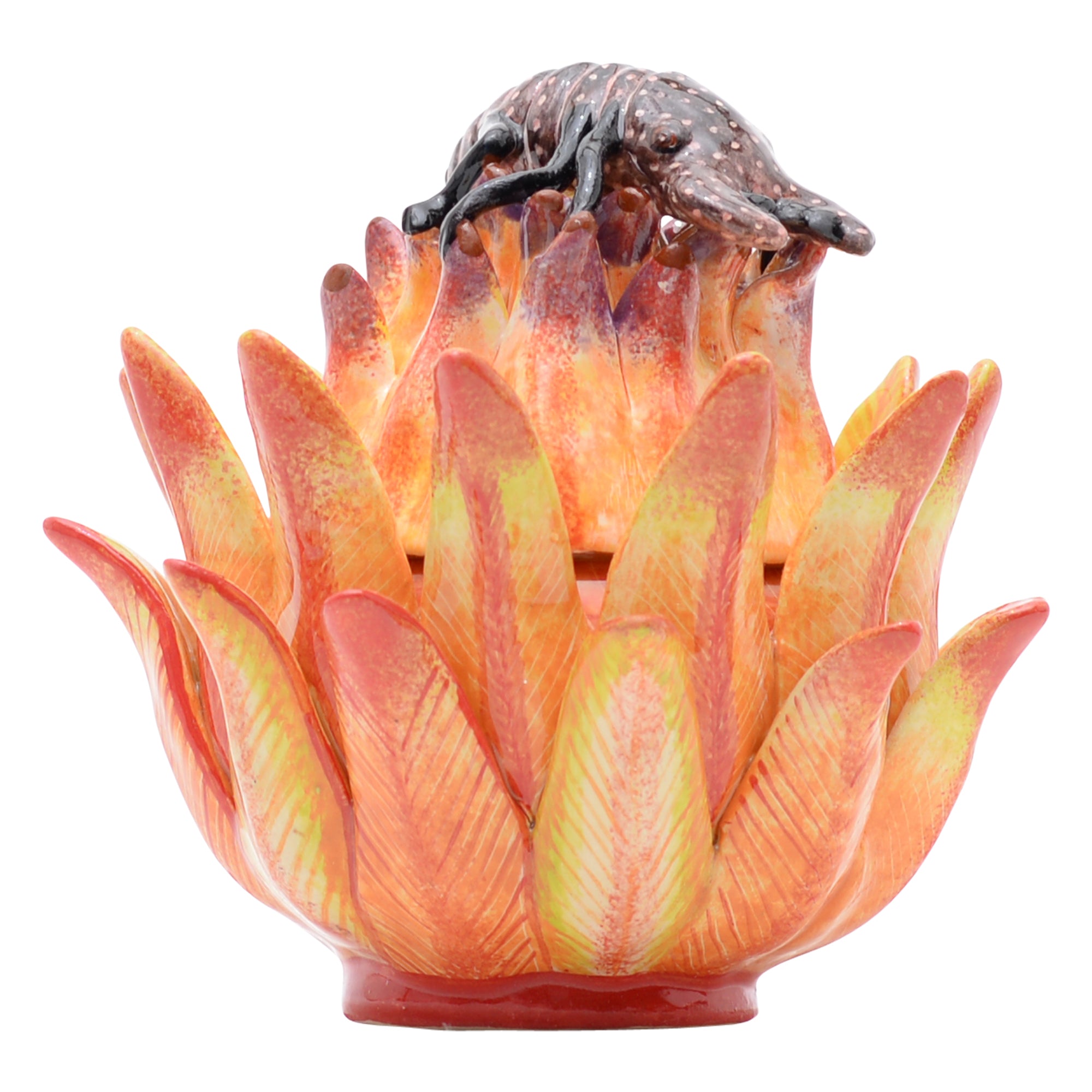 Protea & chameleon jewelry box