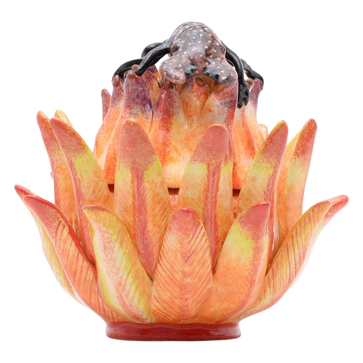 Protea & chameleon jewelry box