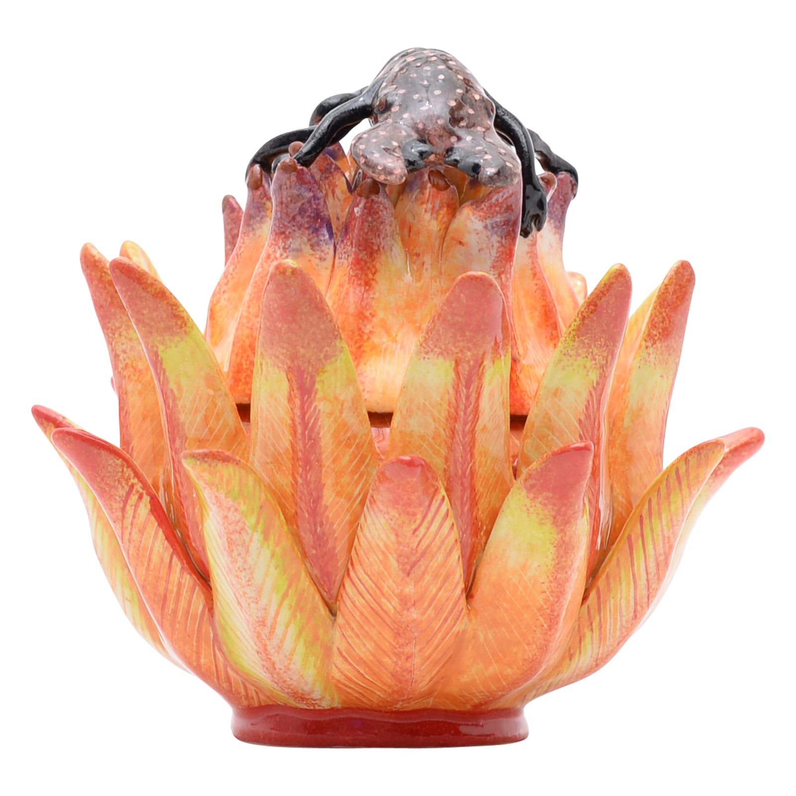 Protea & chameleon jewelry box