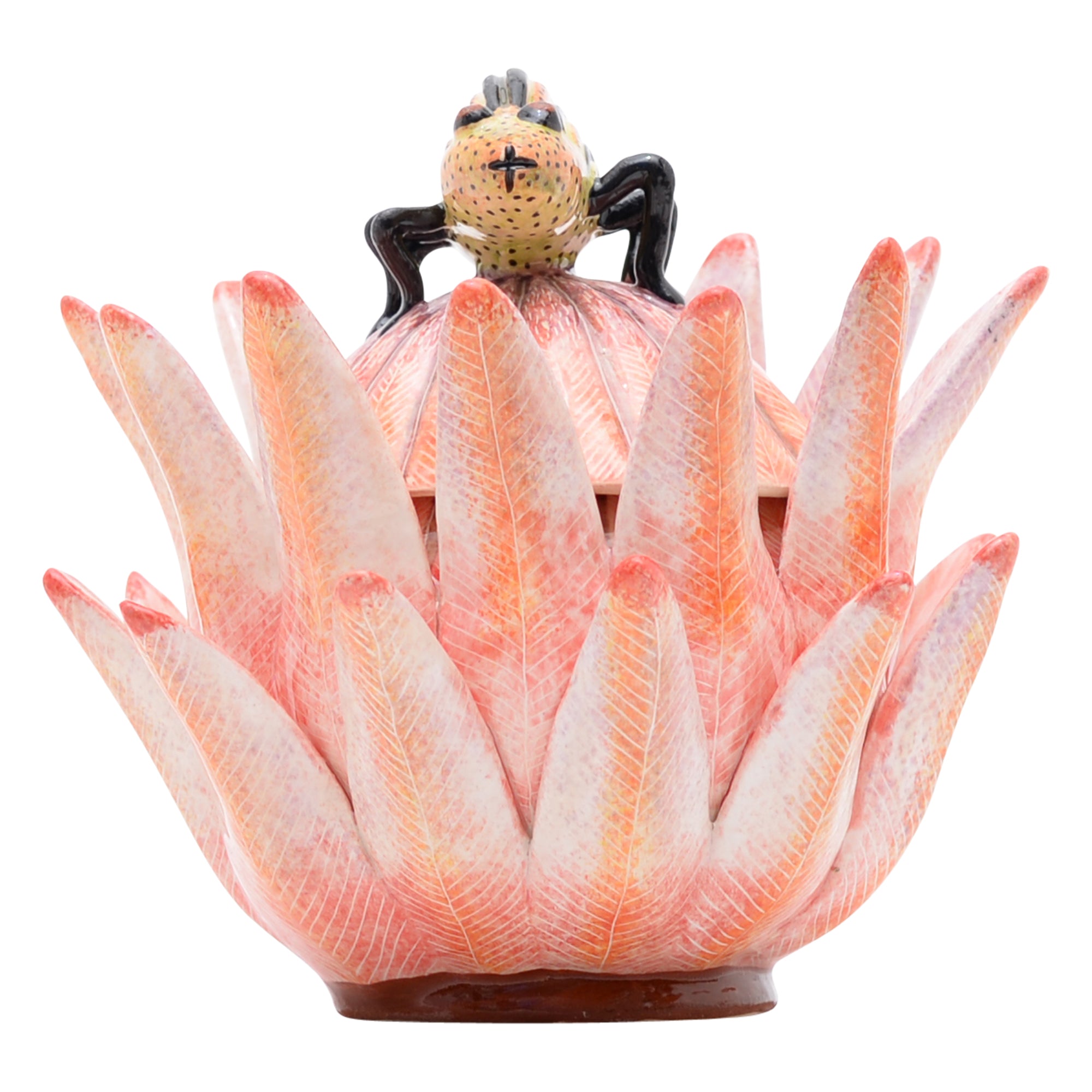 Protea jewelry box