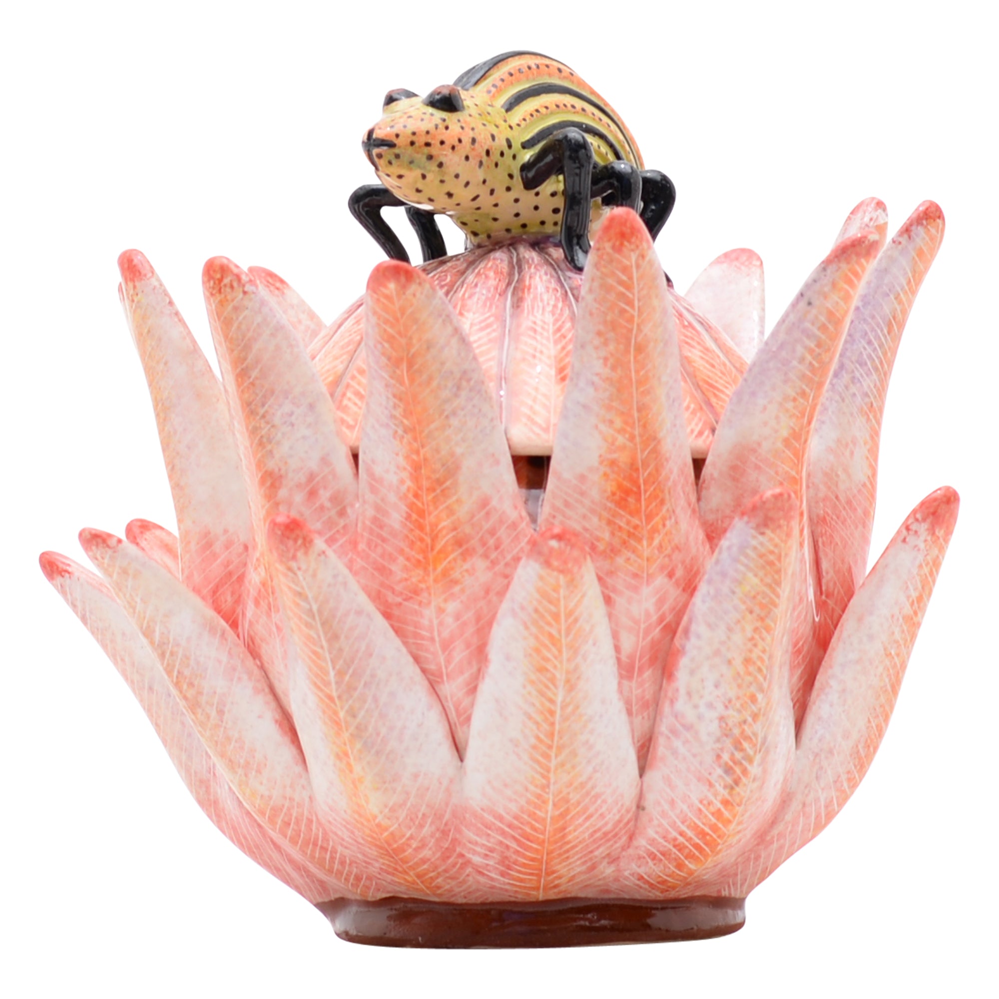 Protea jewelry box
