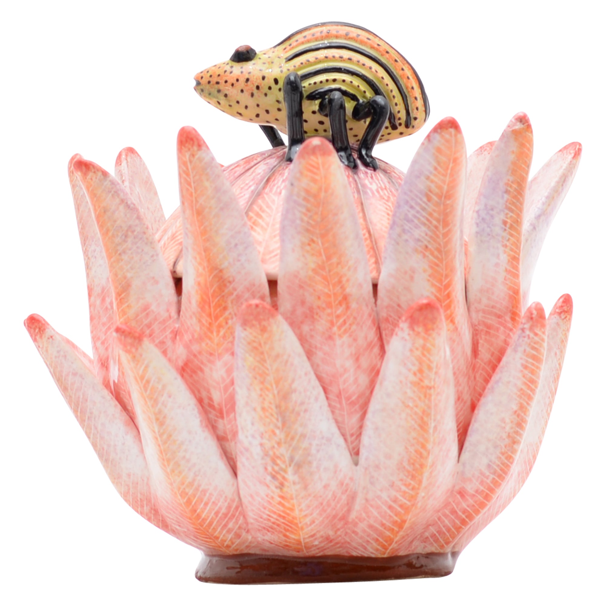 Protea jewelry box