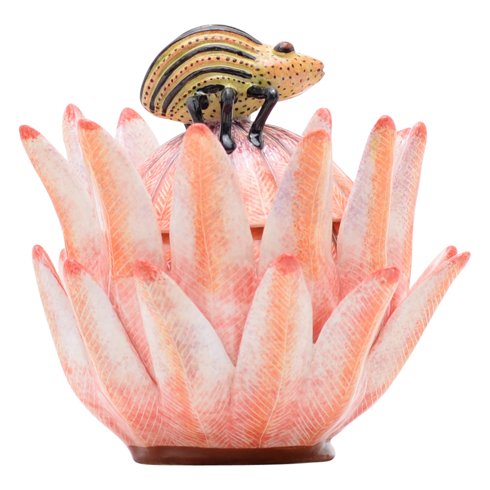 Protea jewelry box