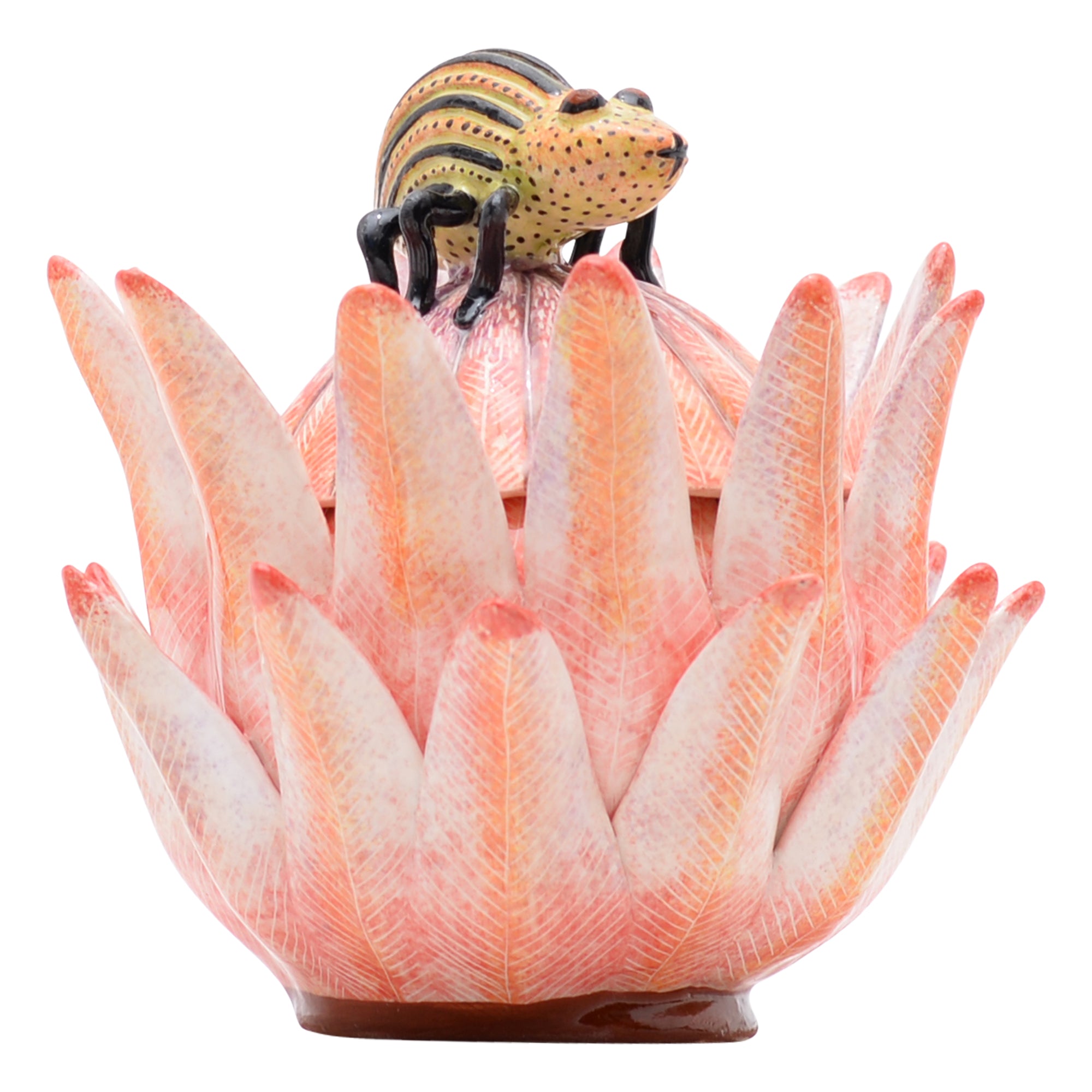 Protea jewelry box