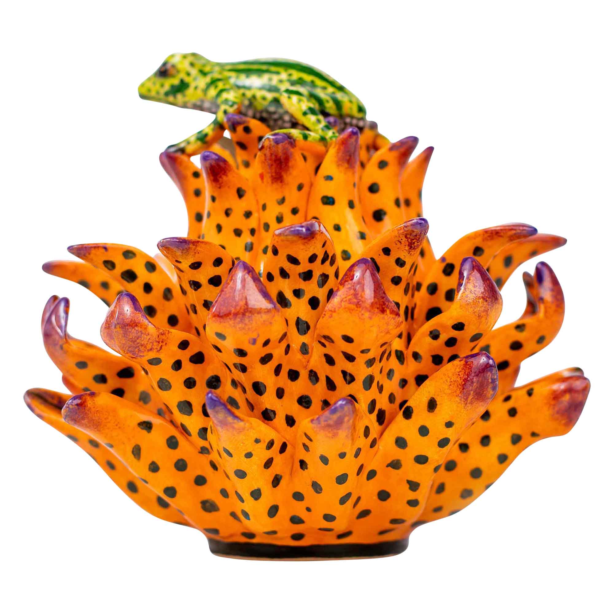 Frog on protea jewelry box