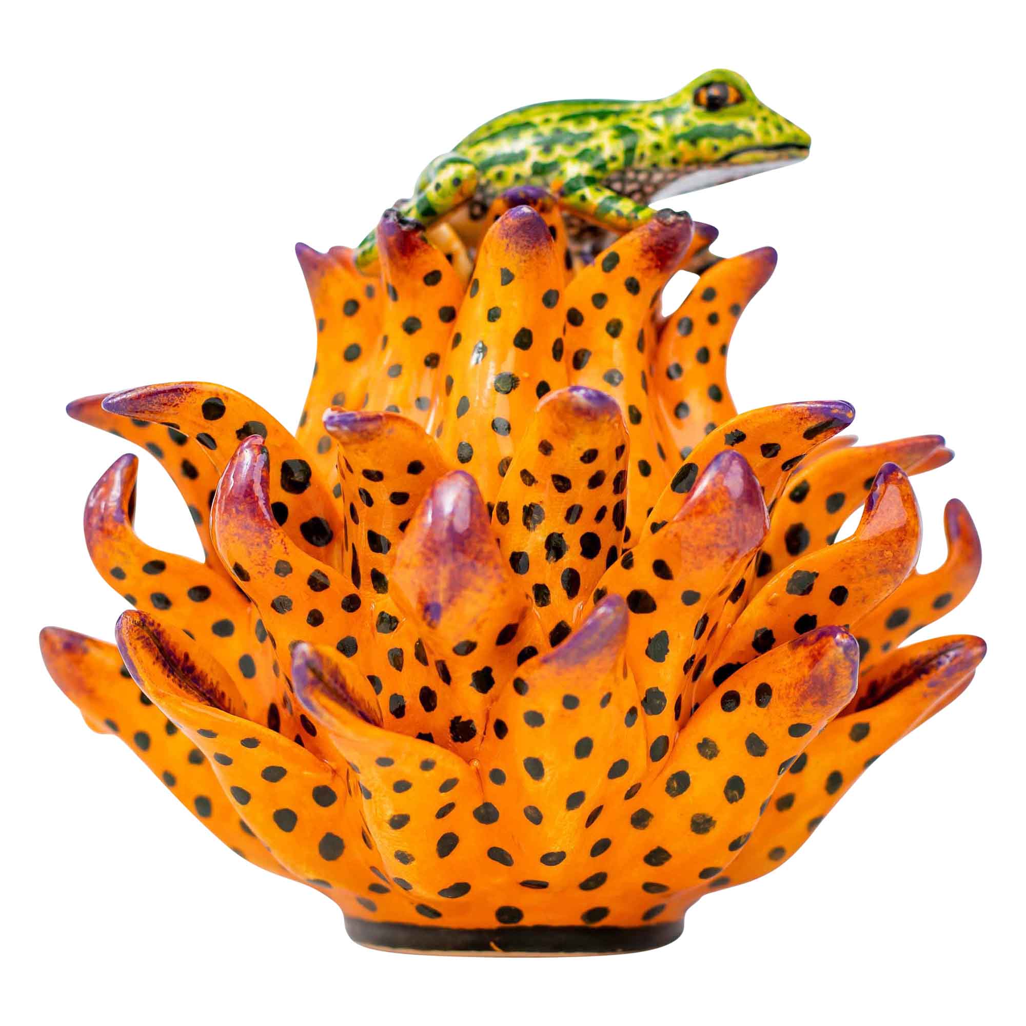 Frog on protea jewelry box