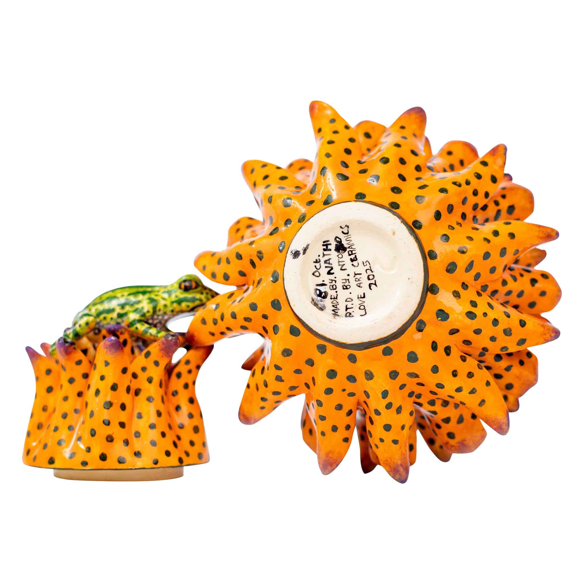 Frog on protea jewelry box