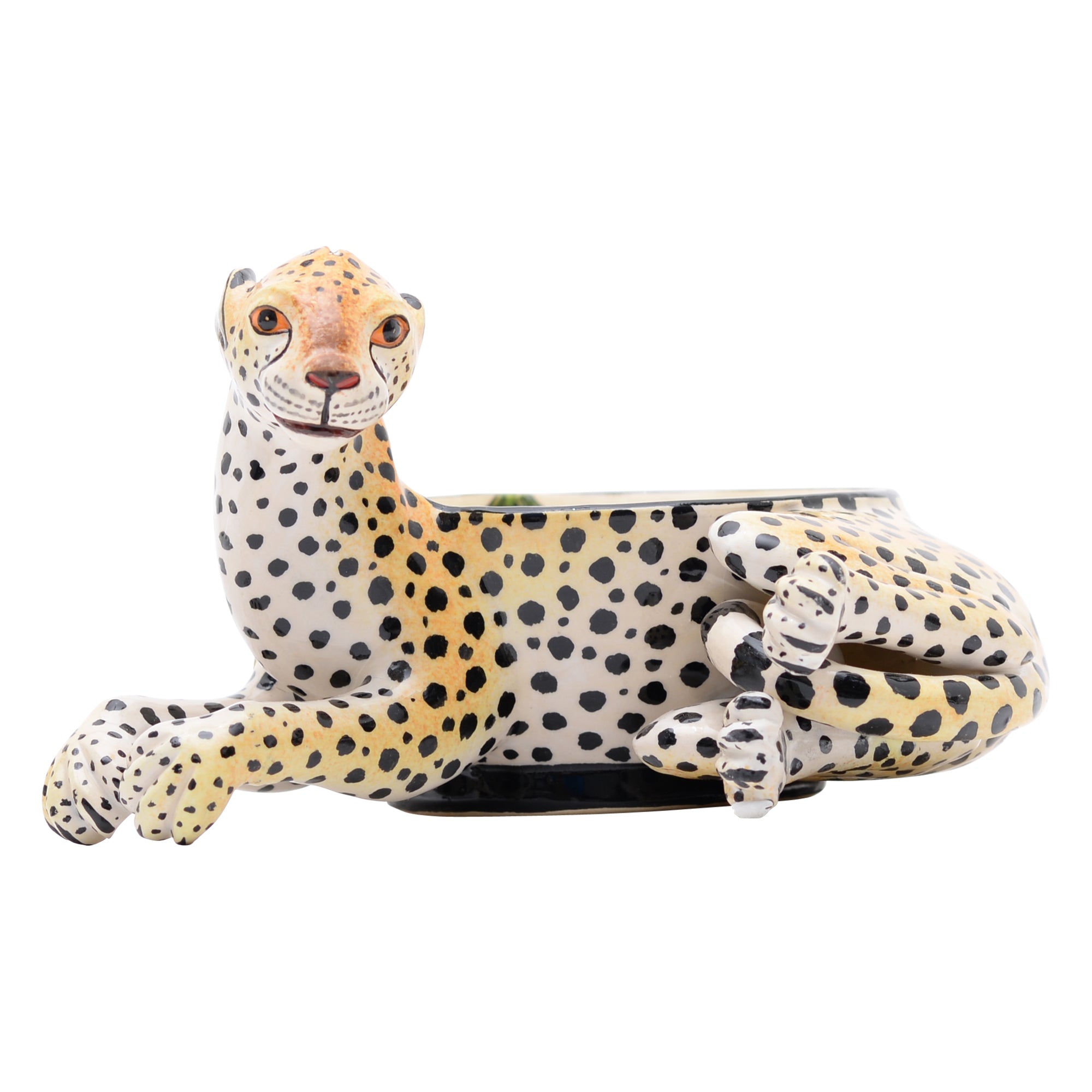 Cheetah peanut bowl