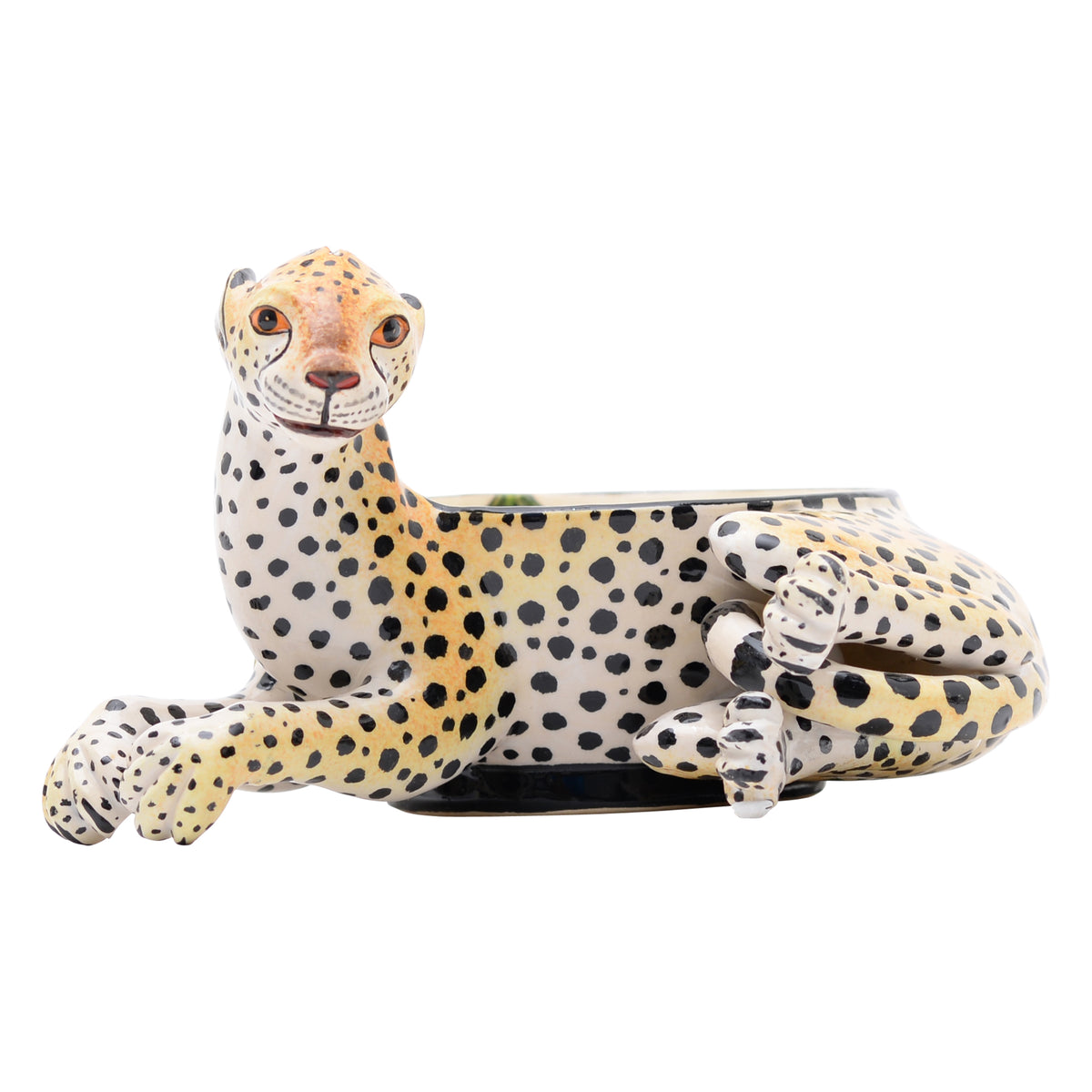 Cheetah peanut bowl