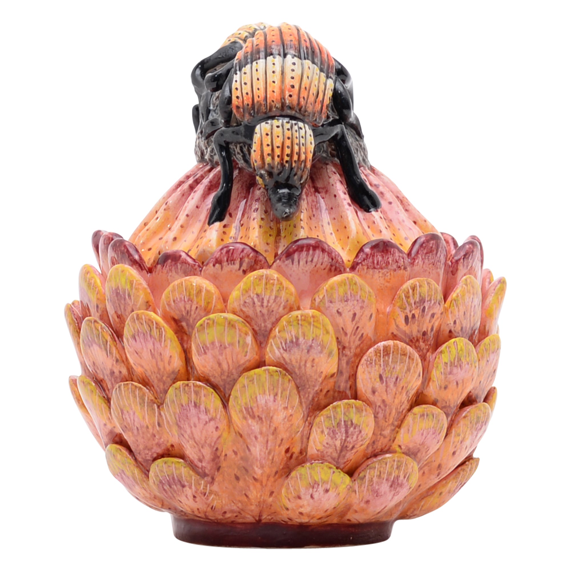 Protea & beetle jewelry box