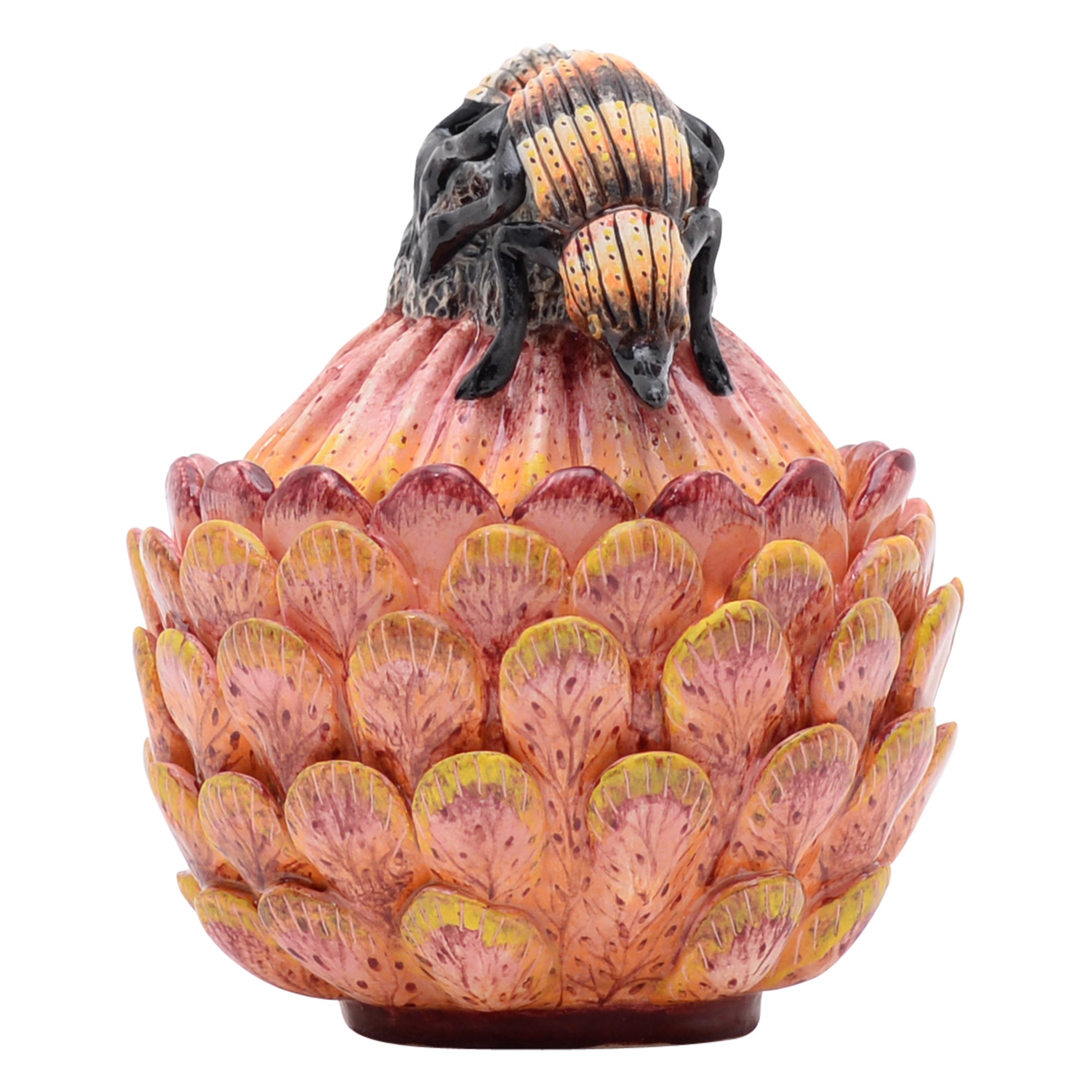 Protea & beetle jewelry box