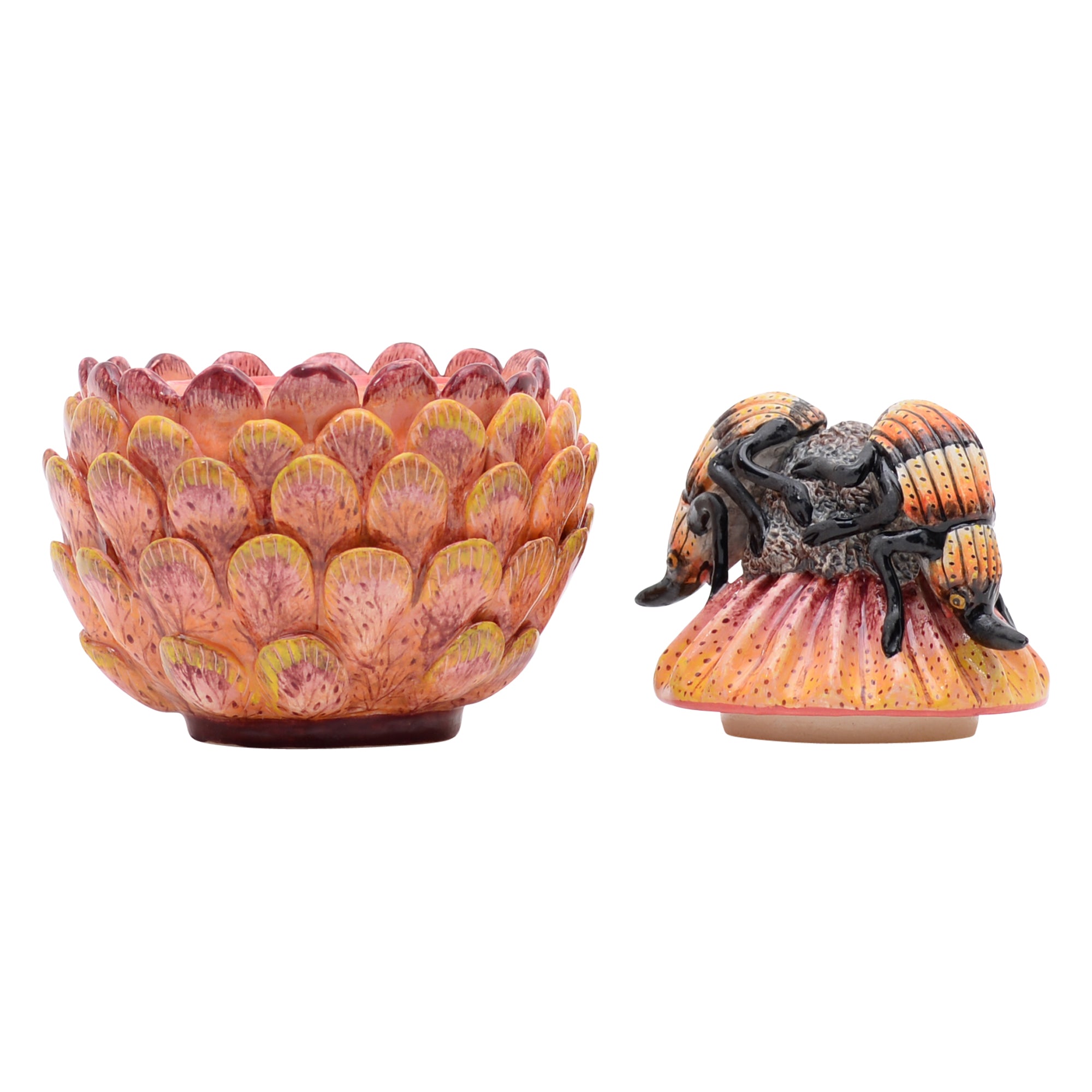 Protea & beetle jewelry box