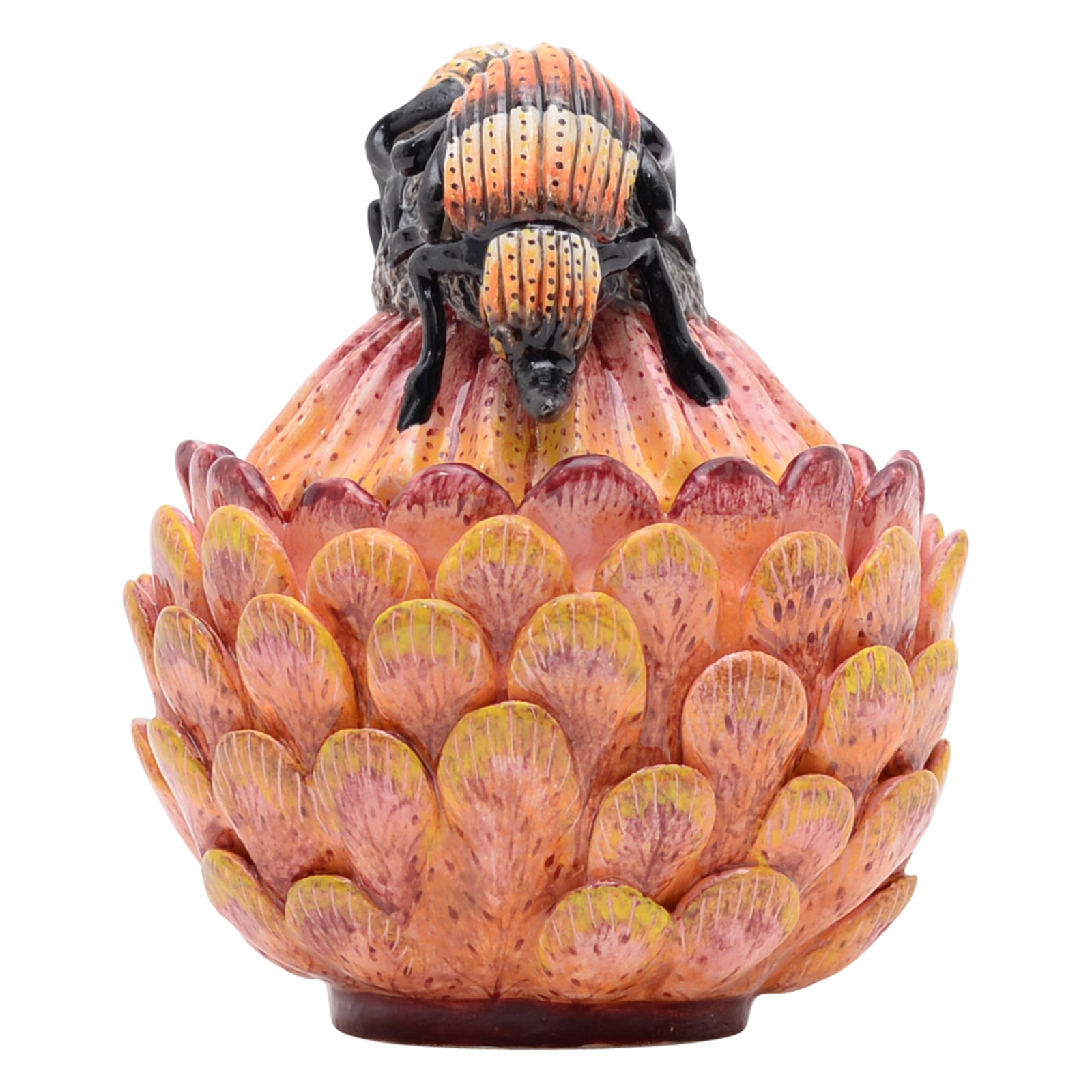Protea & beetle jewelry box