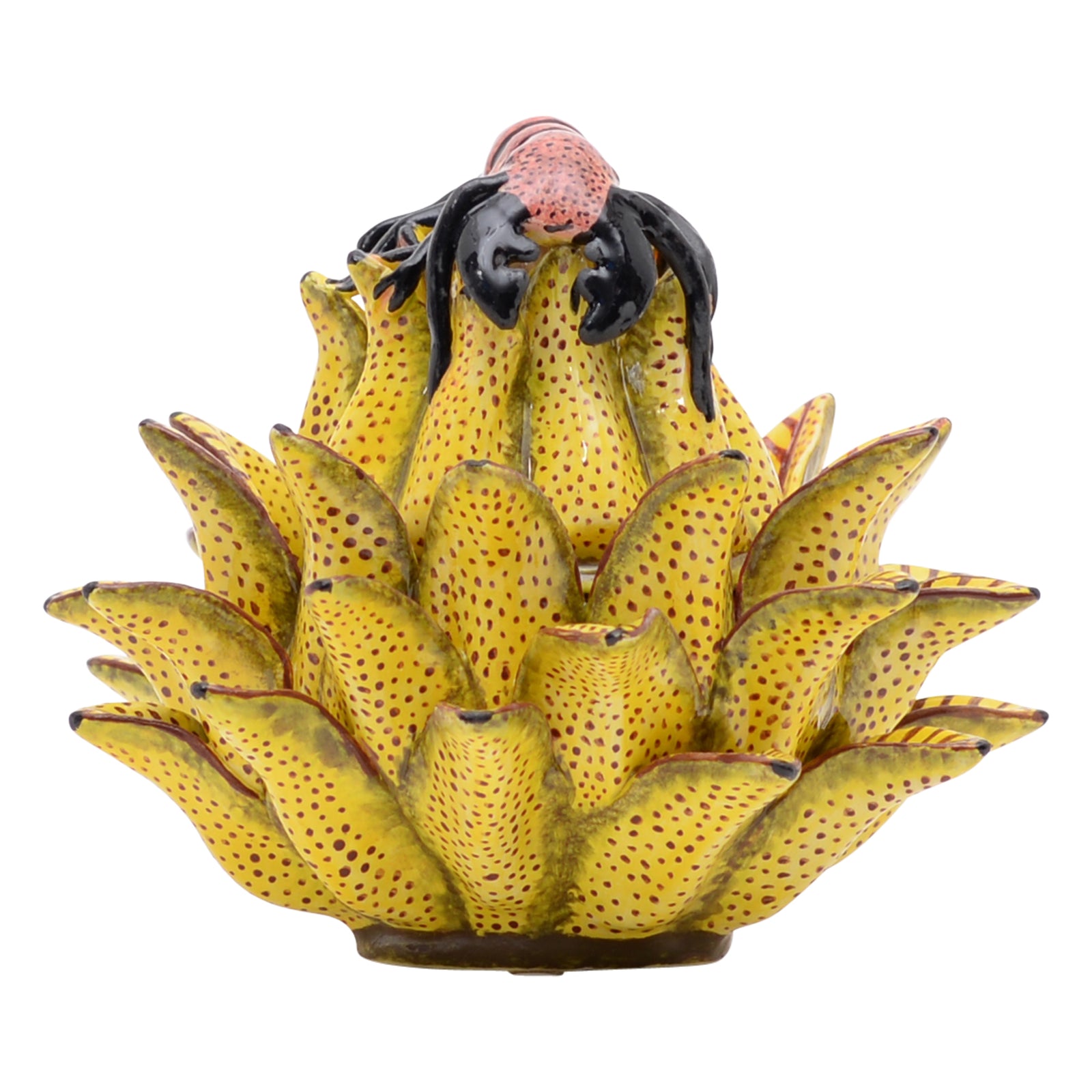 Spider on protea jewelry box