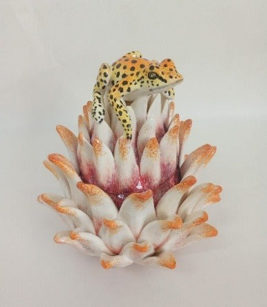 Frog on Protea  jewelry box
