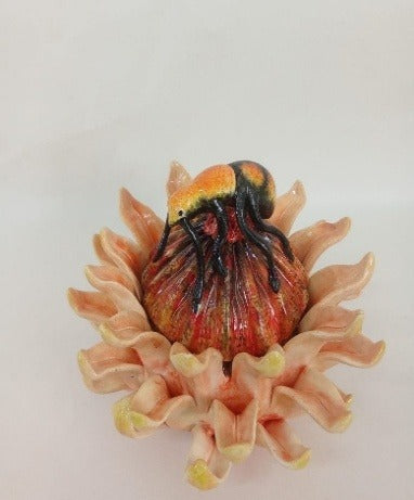 Protea jewelry box