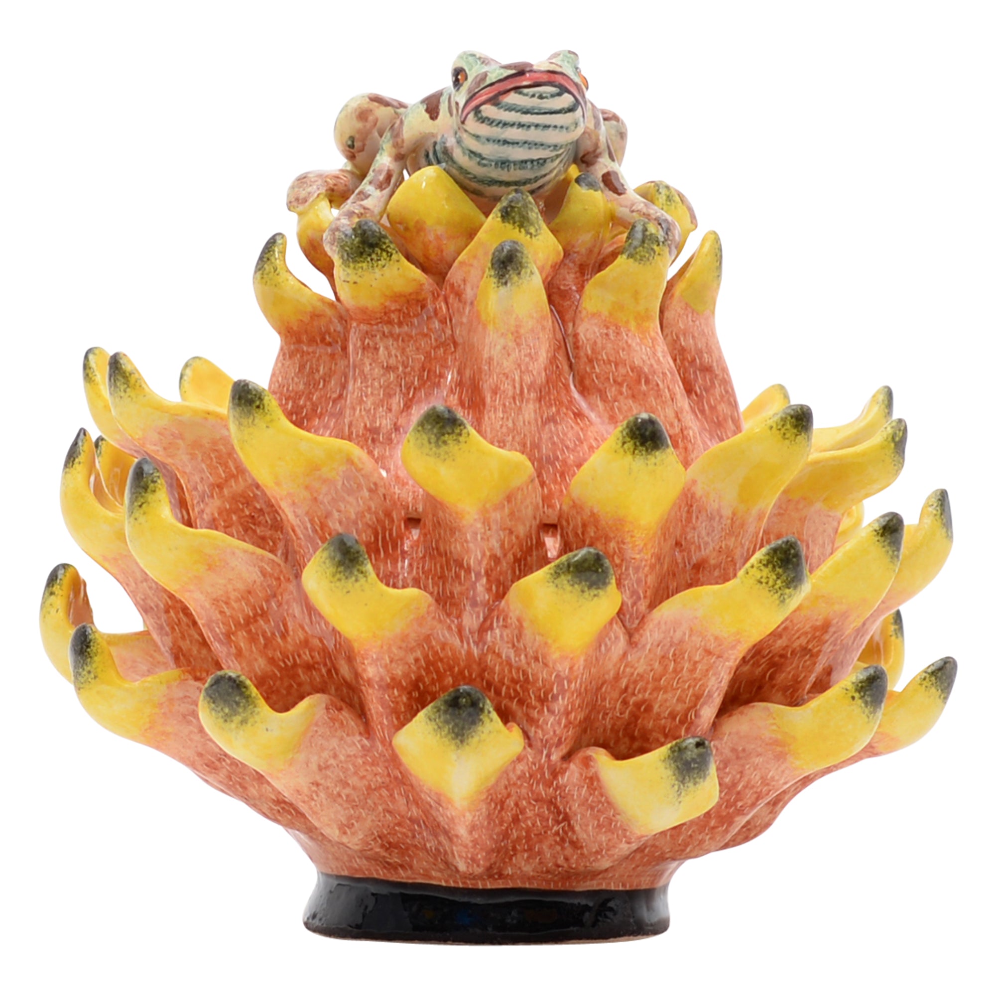 Frog on protea jewelry box