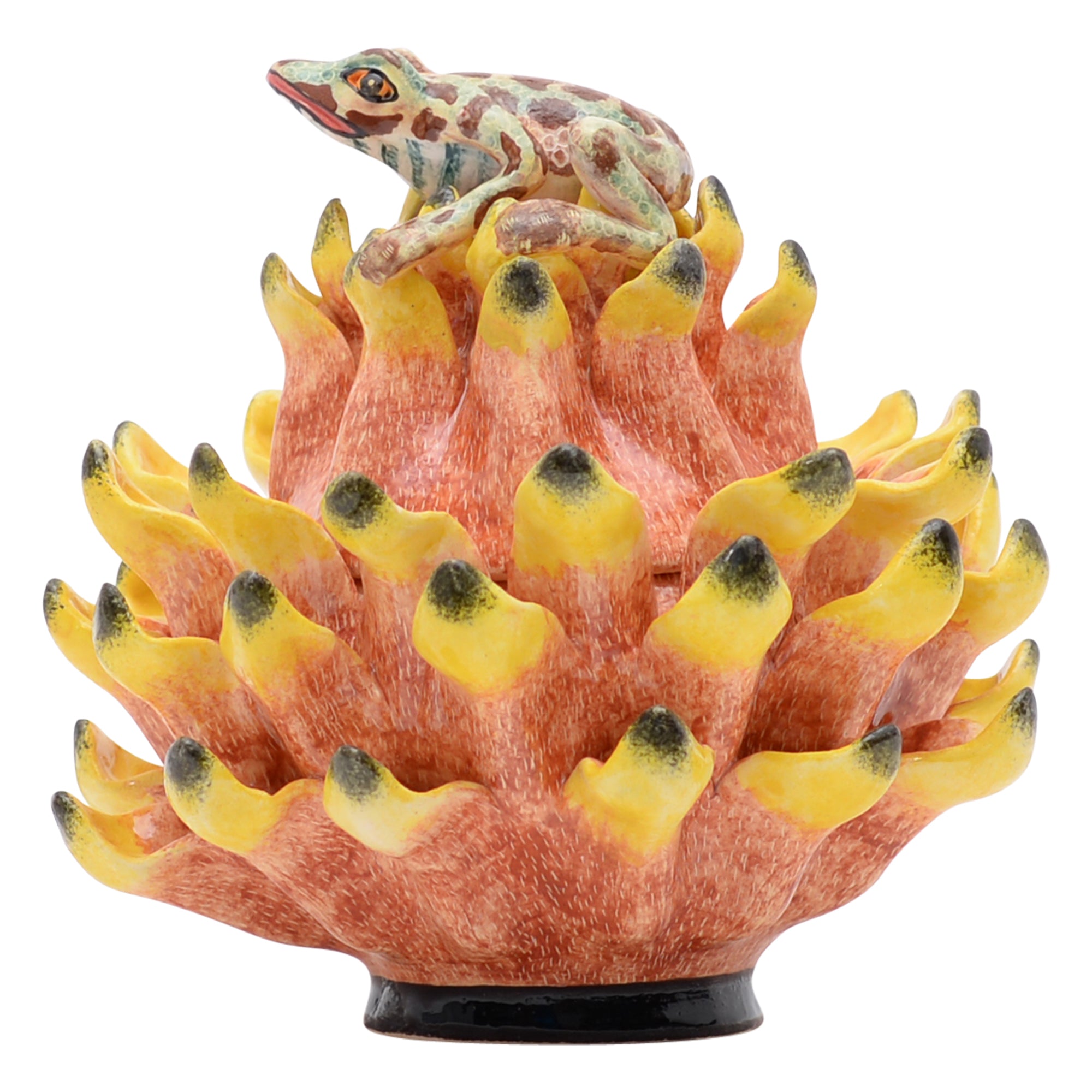 Frog on protea jewelry box