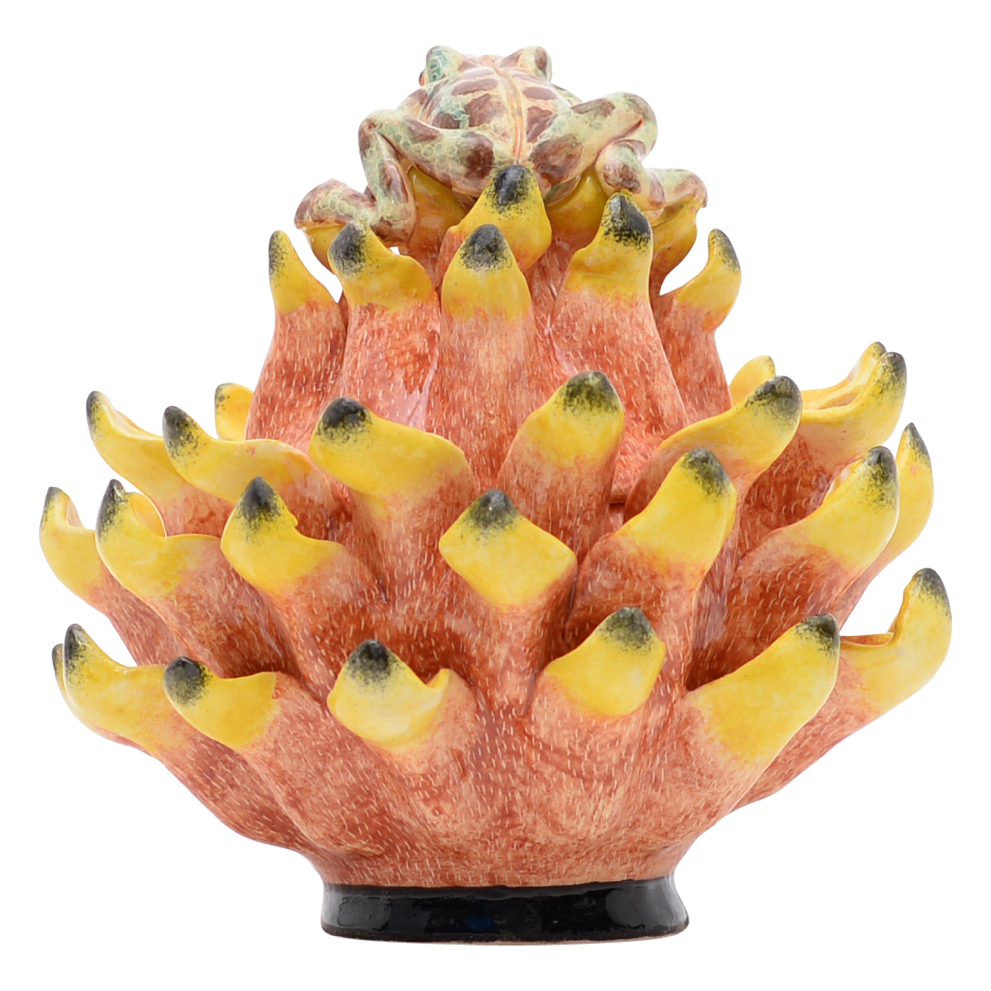 Frog on protea jewelry box