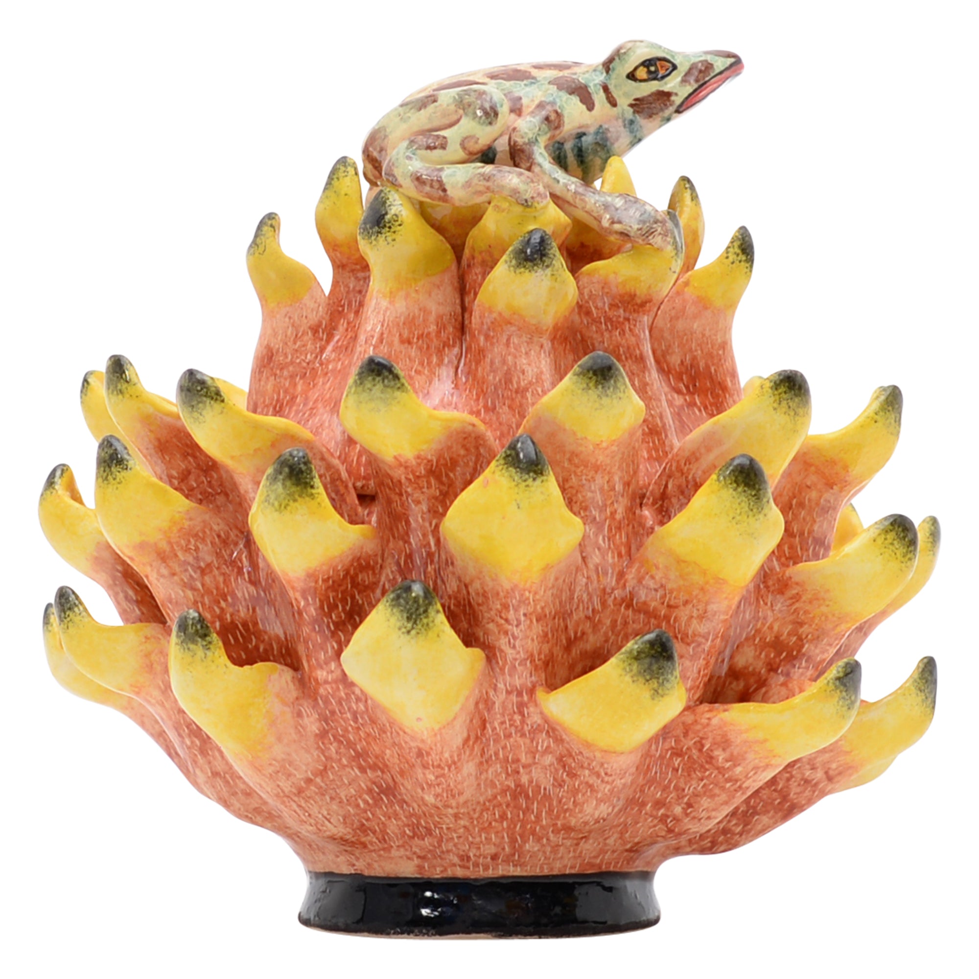 Frog on protea jewelry box