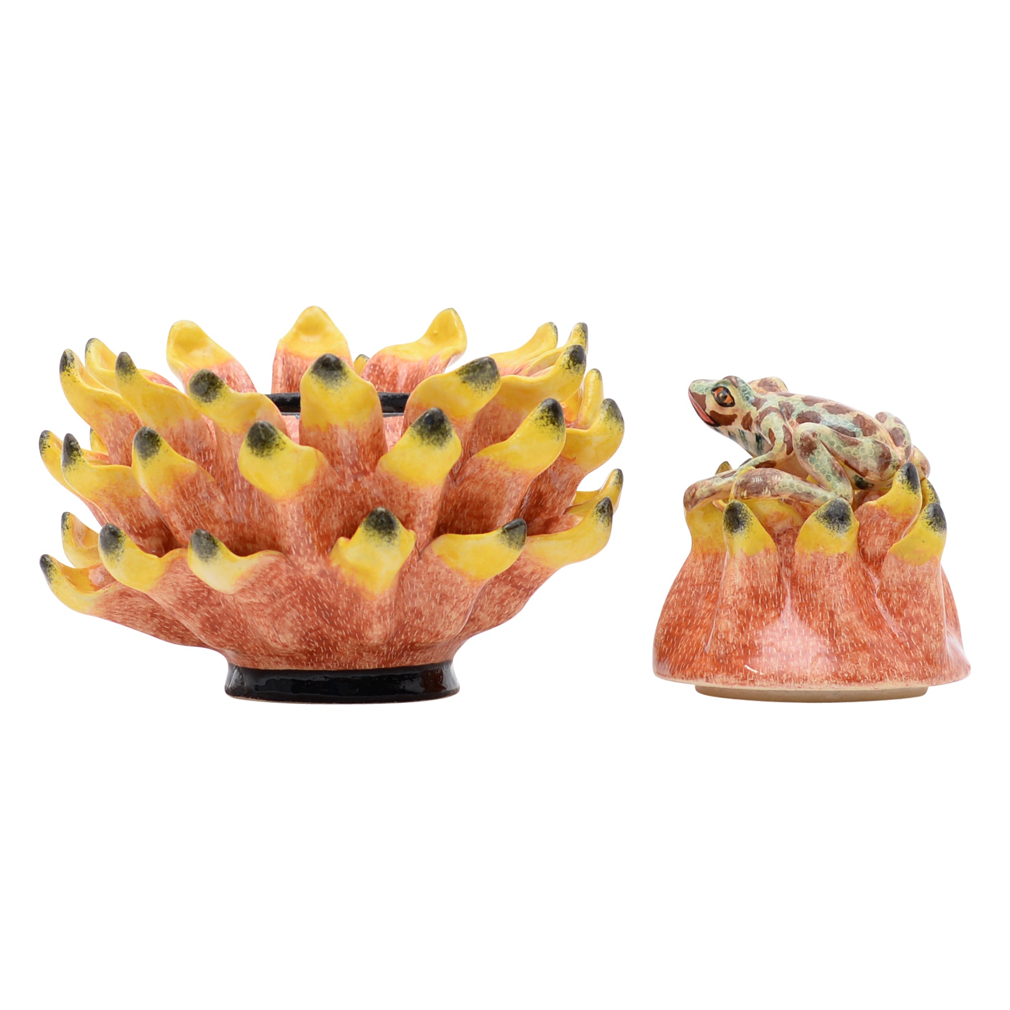 Frog on protea jewelry box