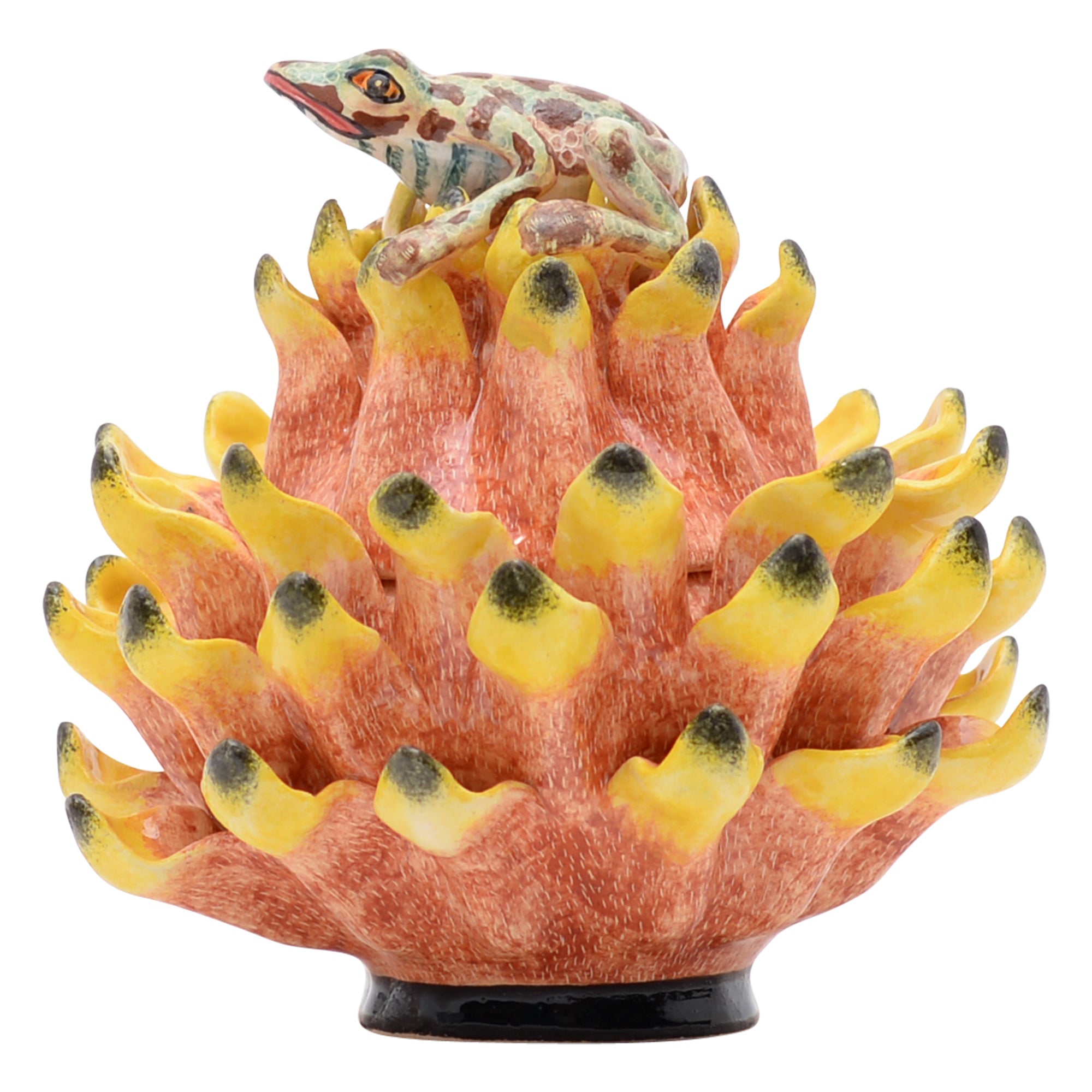 Frog on protea jewelry box