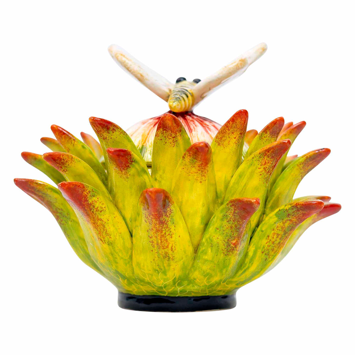 Butterfly, Protea Jewelry Box