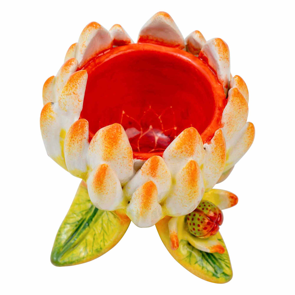 Protea Eggcup
