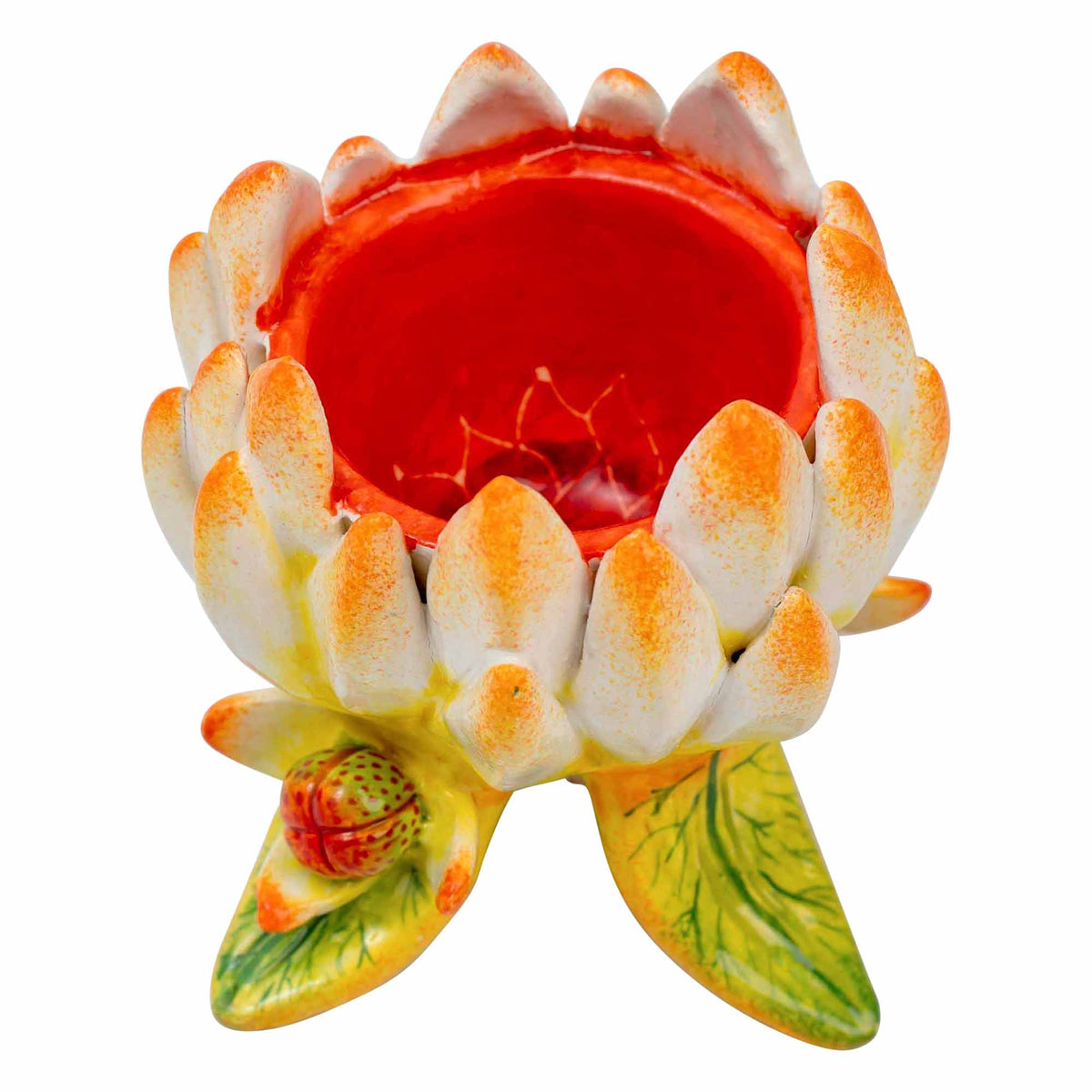 Protea Eggcup