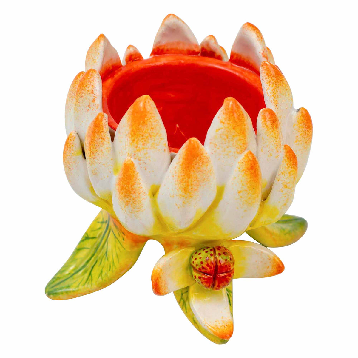 Protea Eggcup