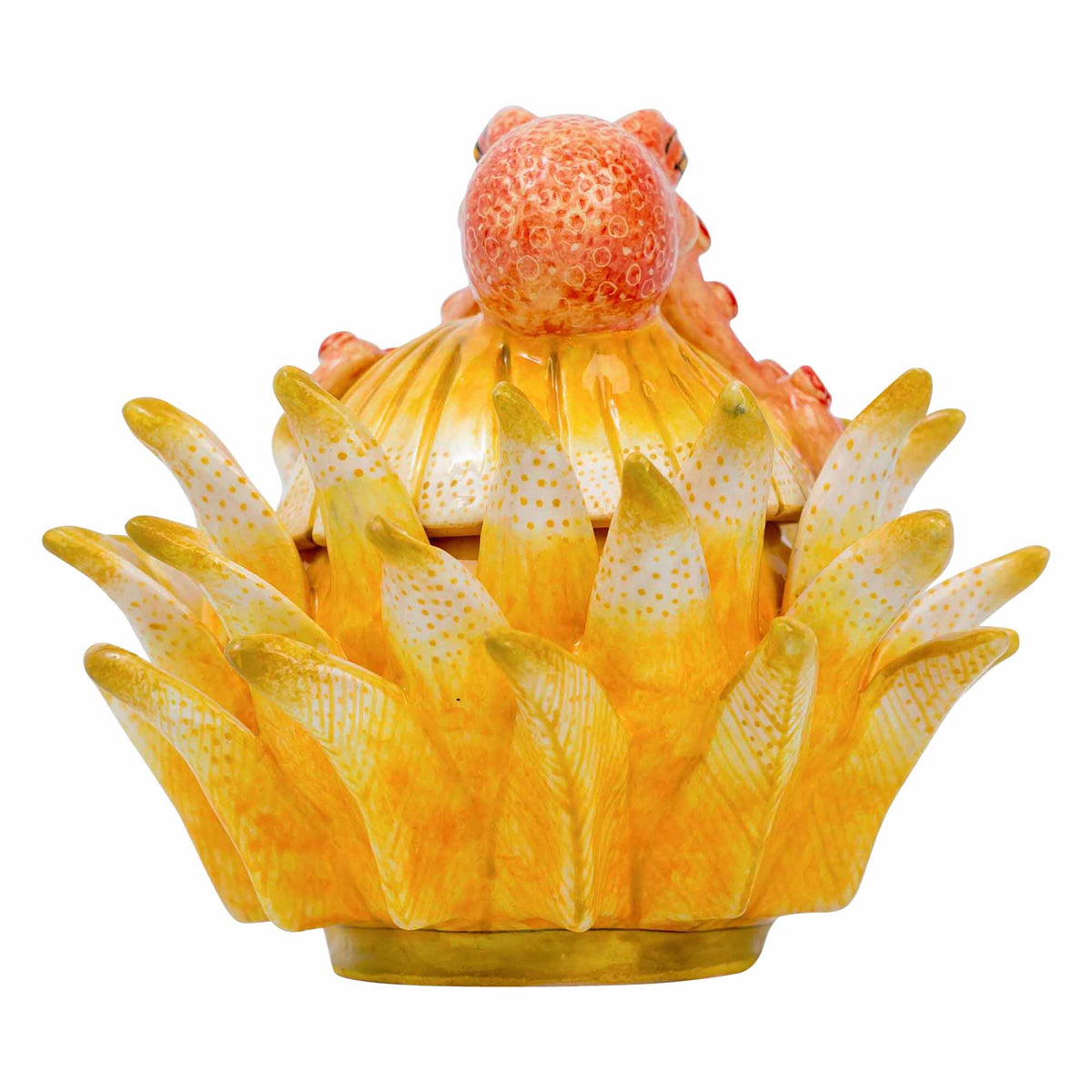 Octopus/Protea Jewelry Box
