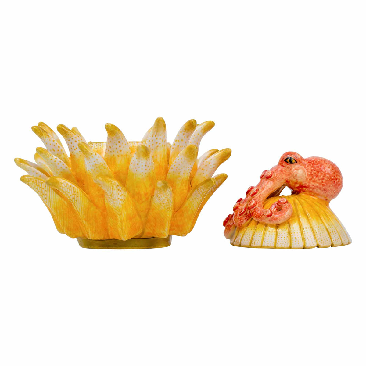 Octopus/Protea Jewelry Box