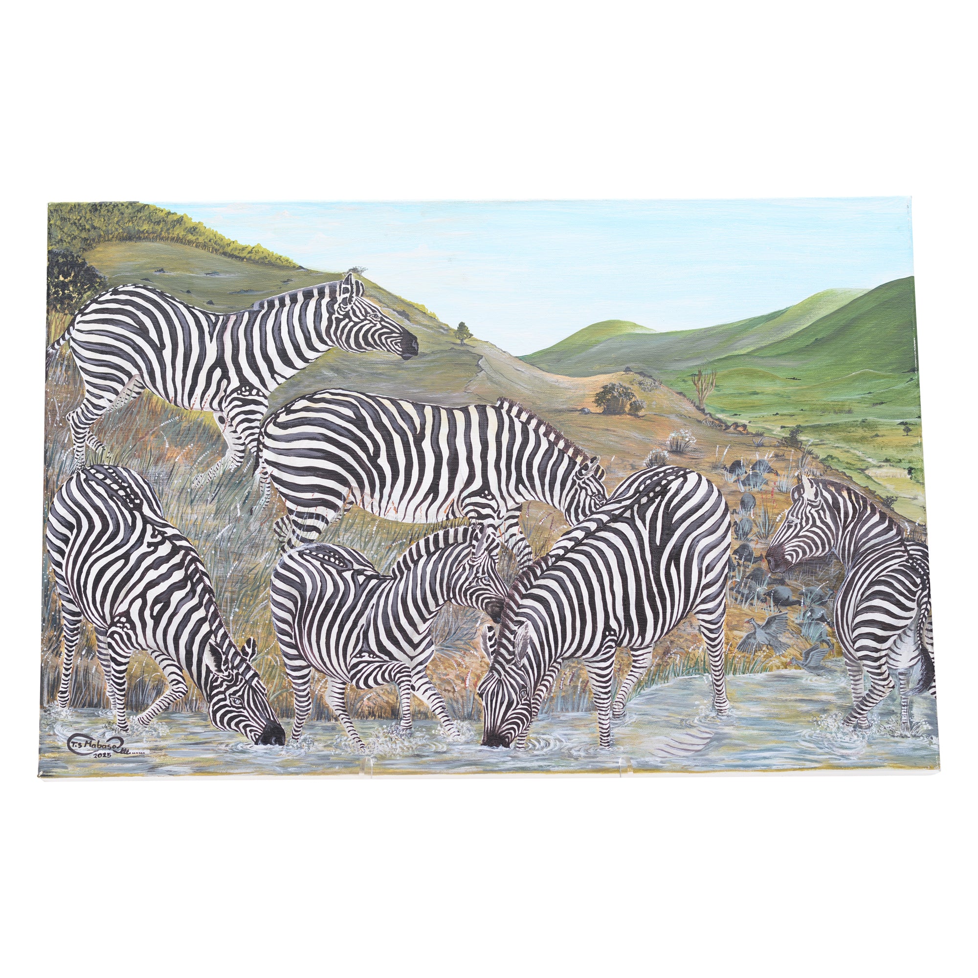 Zebra canvas